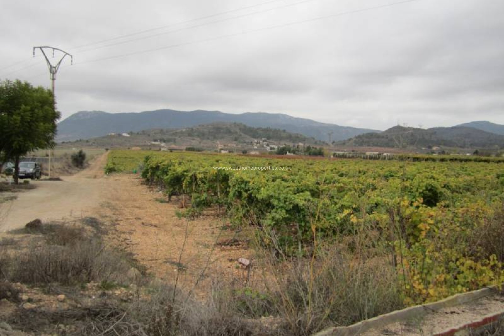 Reventa - Plot - Hondon De Las Nieves - SIMOLA