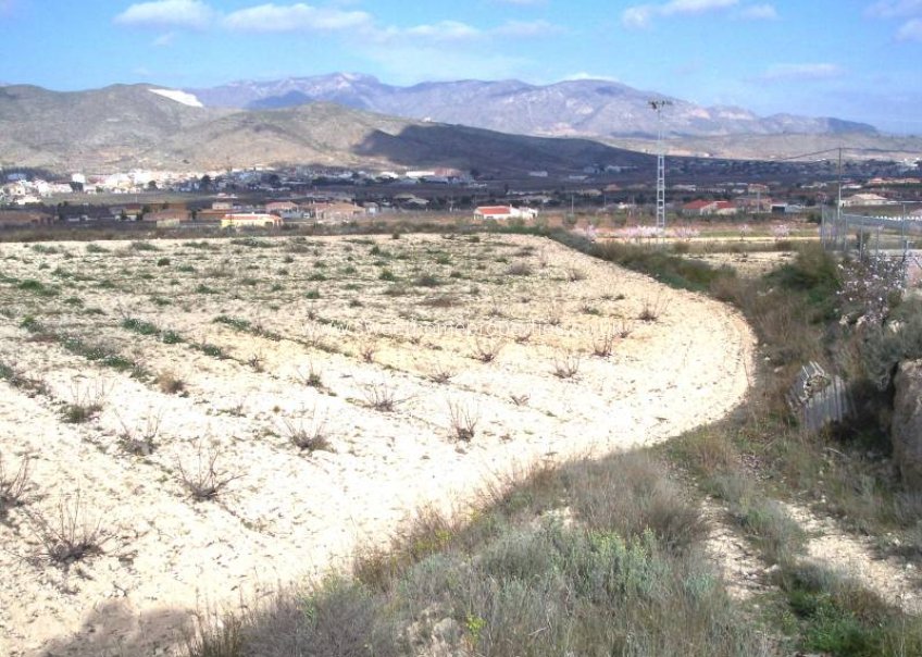 Reventa - Plot - Hondon De Los Frailes - MONTE ALTO