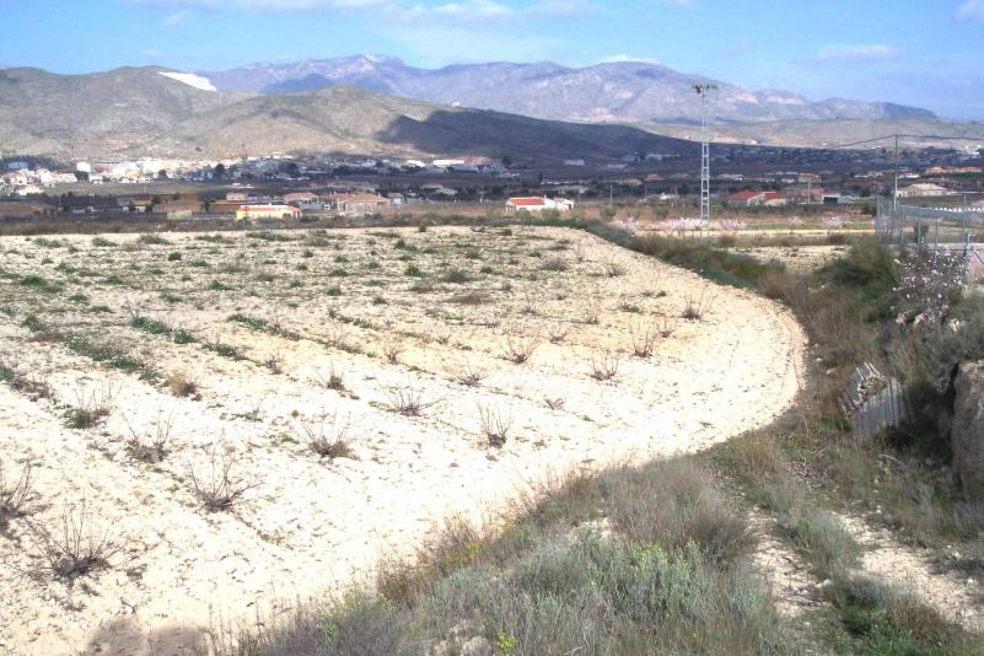 Reventa - Plot - Hondon De Los Frailes - MONTE ALTO