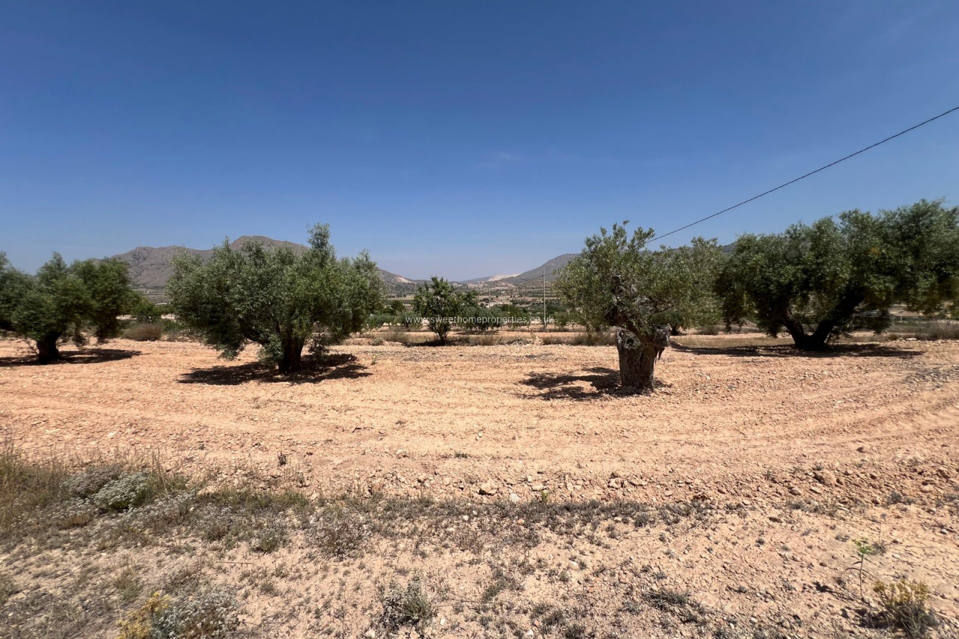 Reventa - Plot - Hondon De Los Frailes