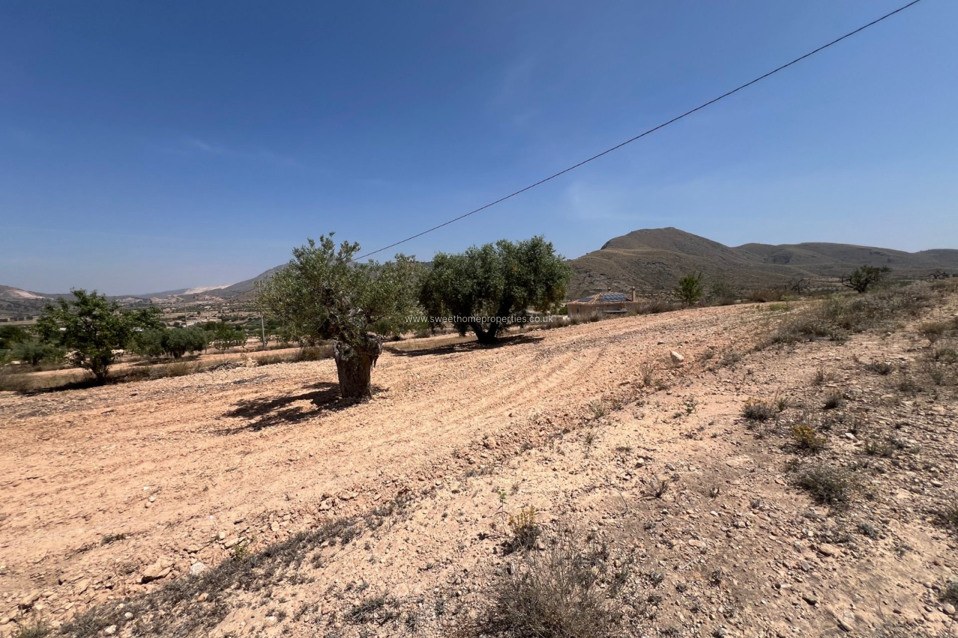 Reventa - Plot - Hondon De Los Frailes