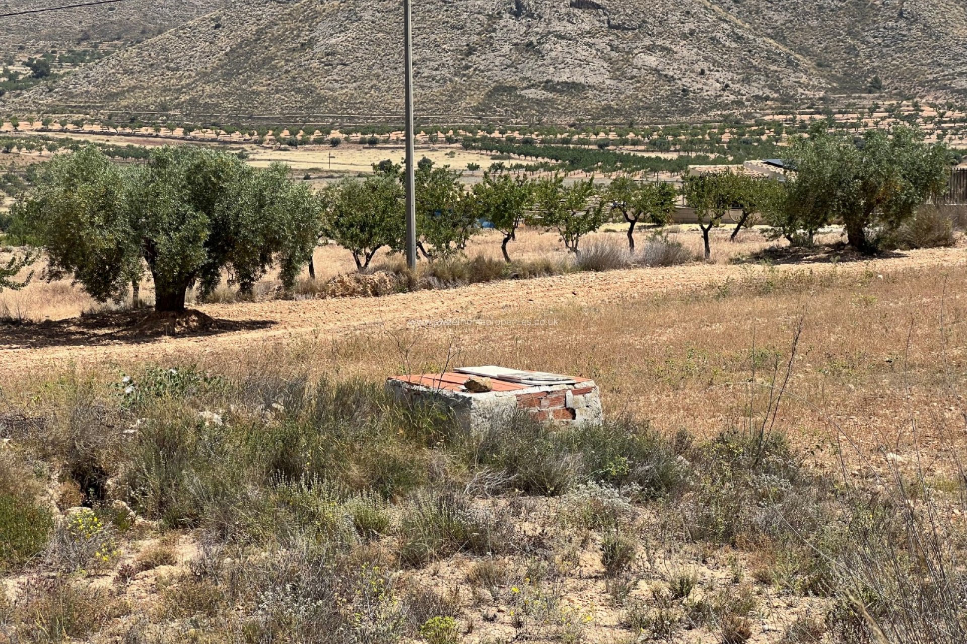 Reventa - Plot - Hondon De Los Frailes