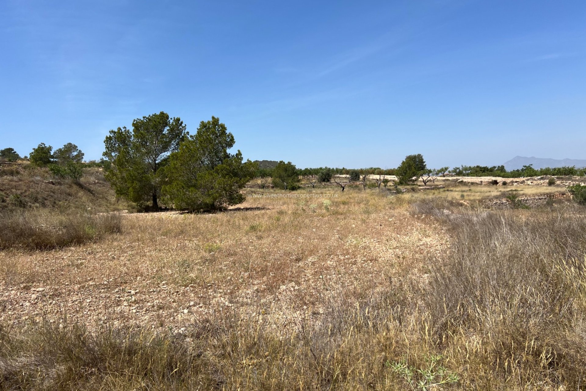 Reventa - Plot - Hondon De Los Frailes