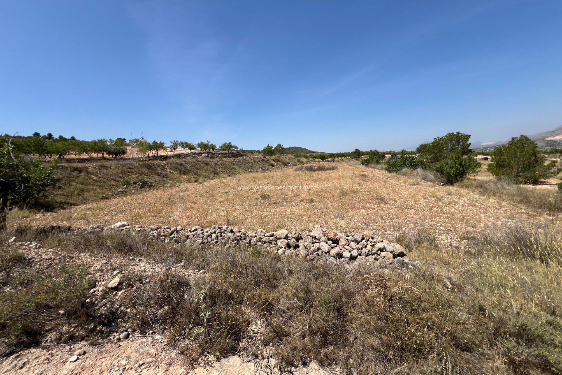 Reventa - Plot - Hondon De Los Frailes