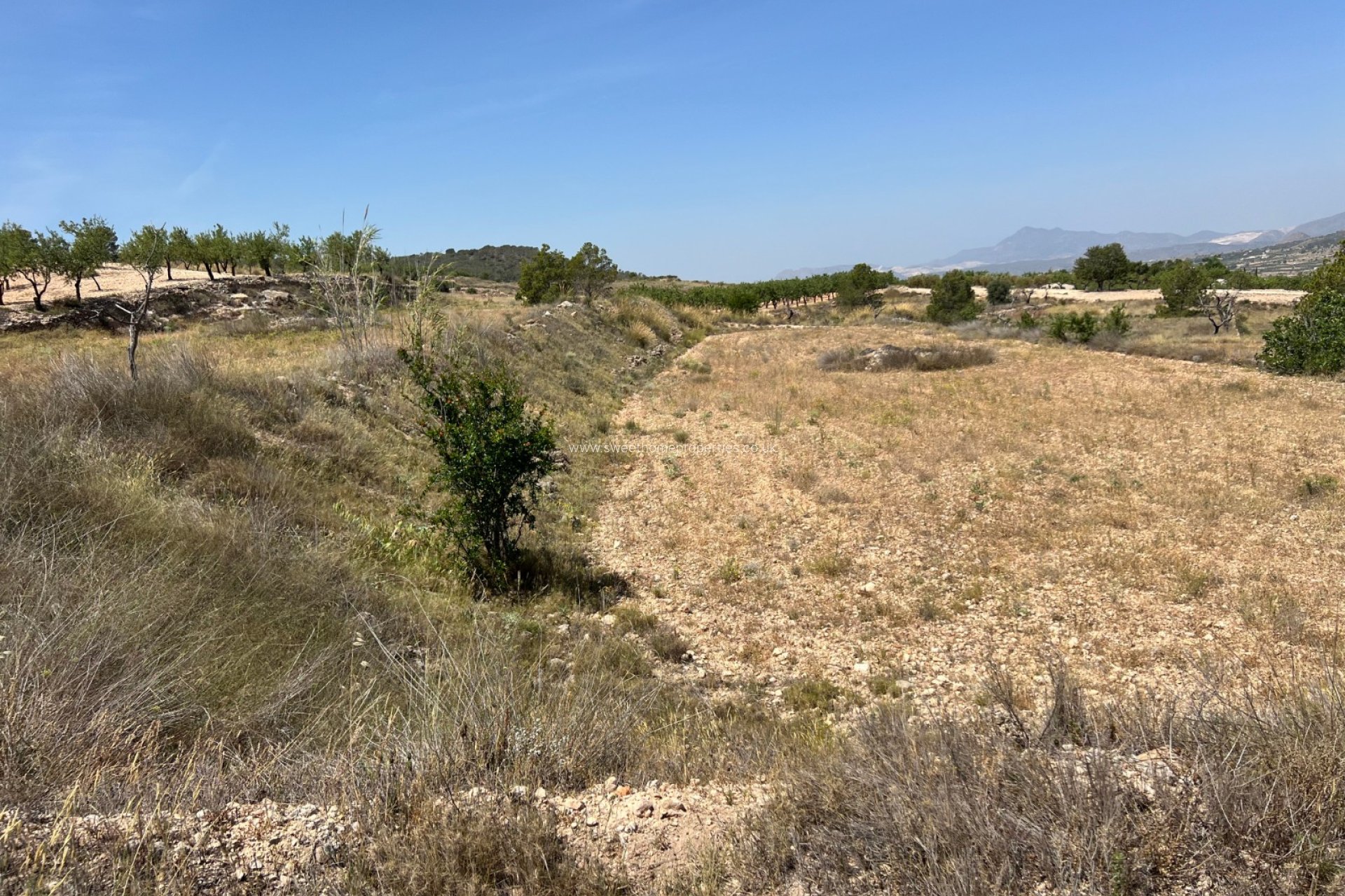Reventa - Plot - Hondon De Los Frailes