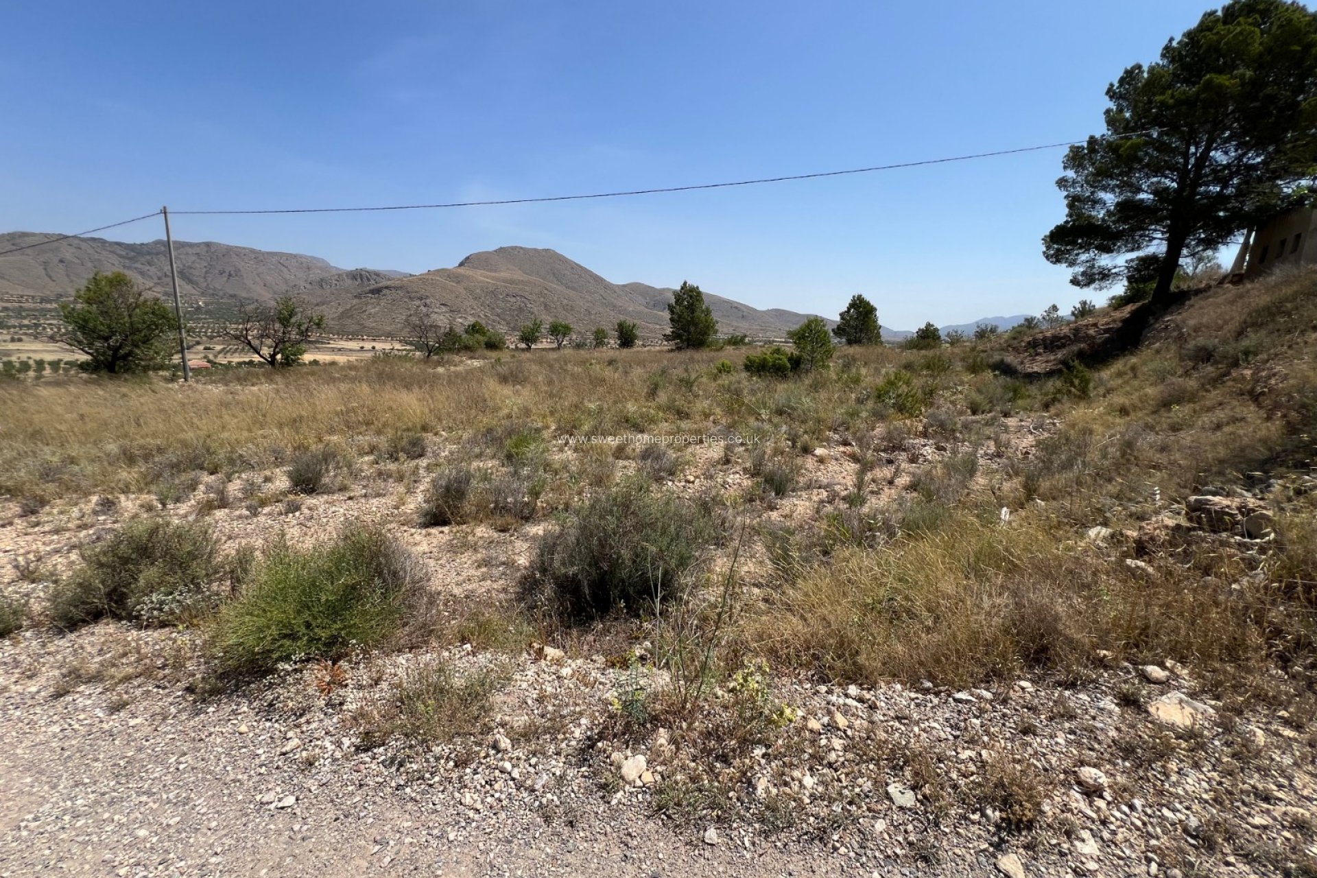 Reventa - Plot - Hondon De Los Frailes
