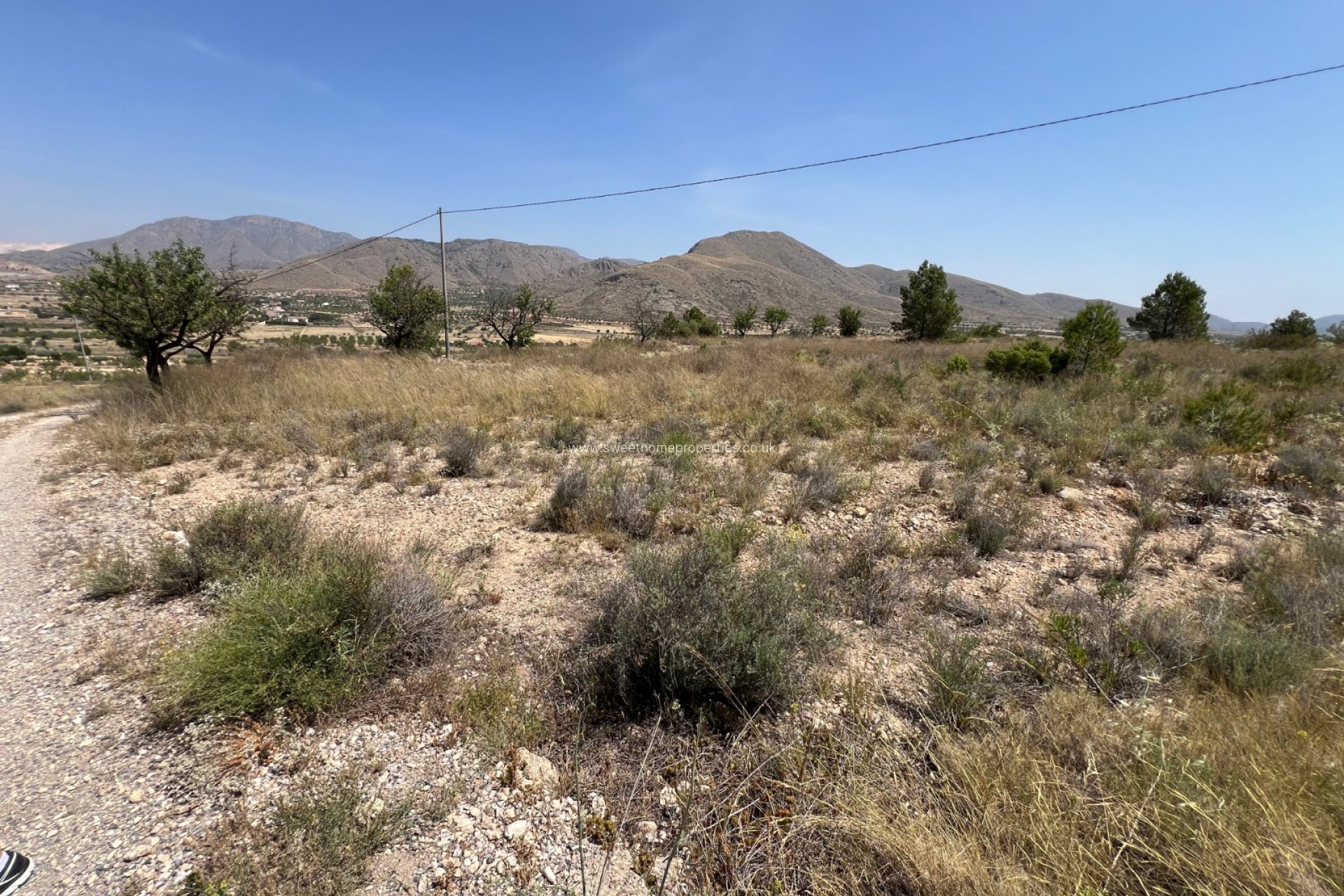 Reventa - Plot - Hondon De Los Frailes