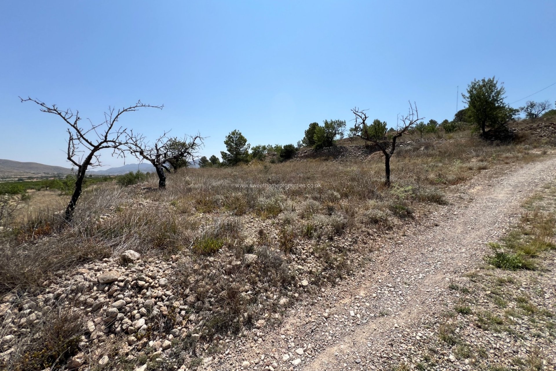Reventa - Plot - Hondon De Los Frailes