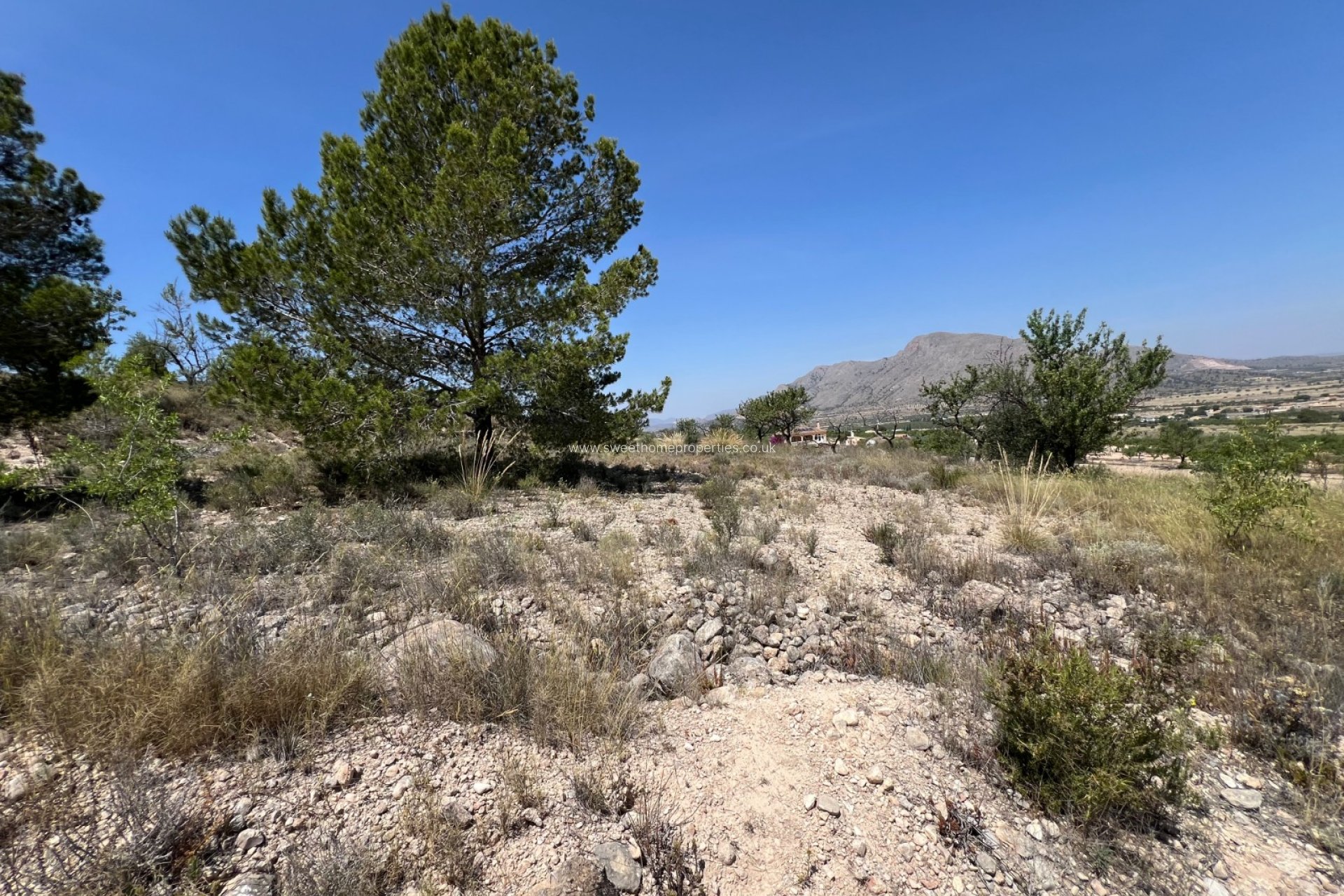 Reventa - Plot - Hondon De Los Frailes