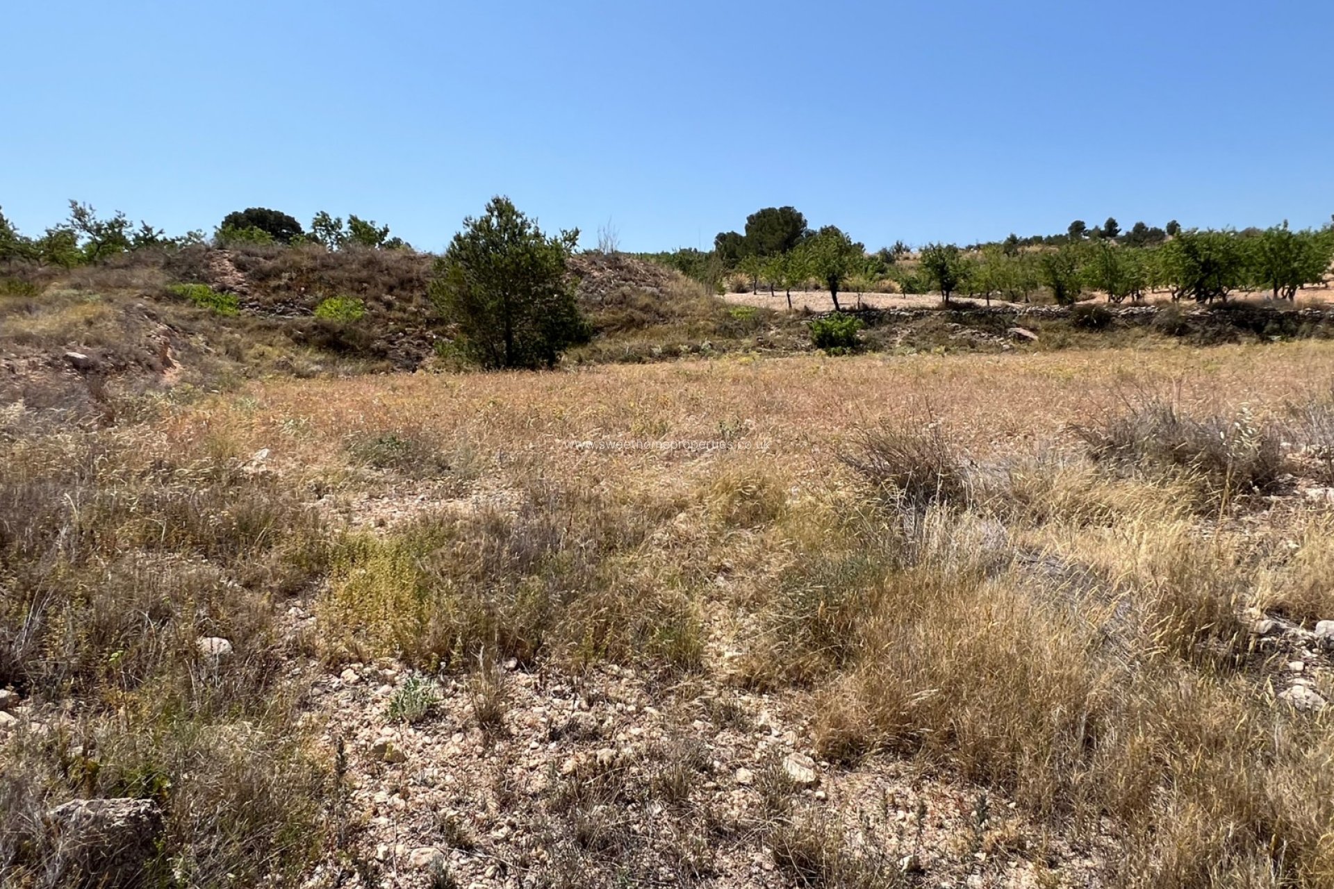 Reventa - Plot - Hondon De Los Frailes