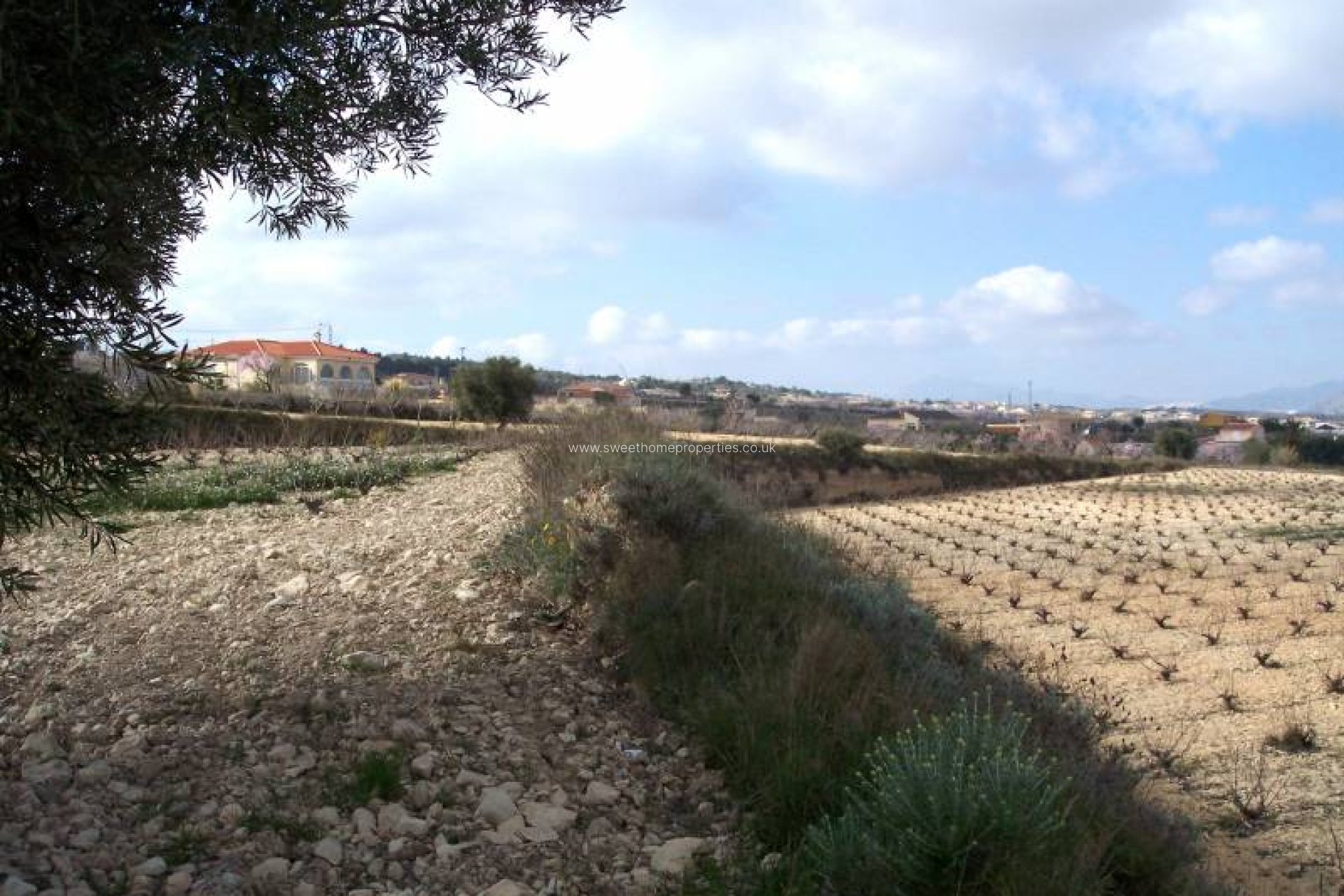 Reventa - Plot - Hondon De Los Frailes