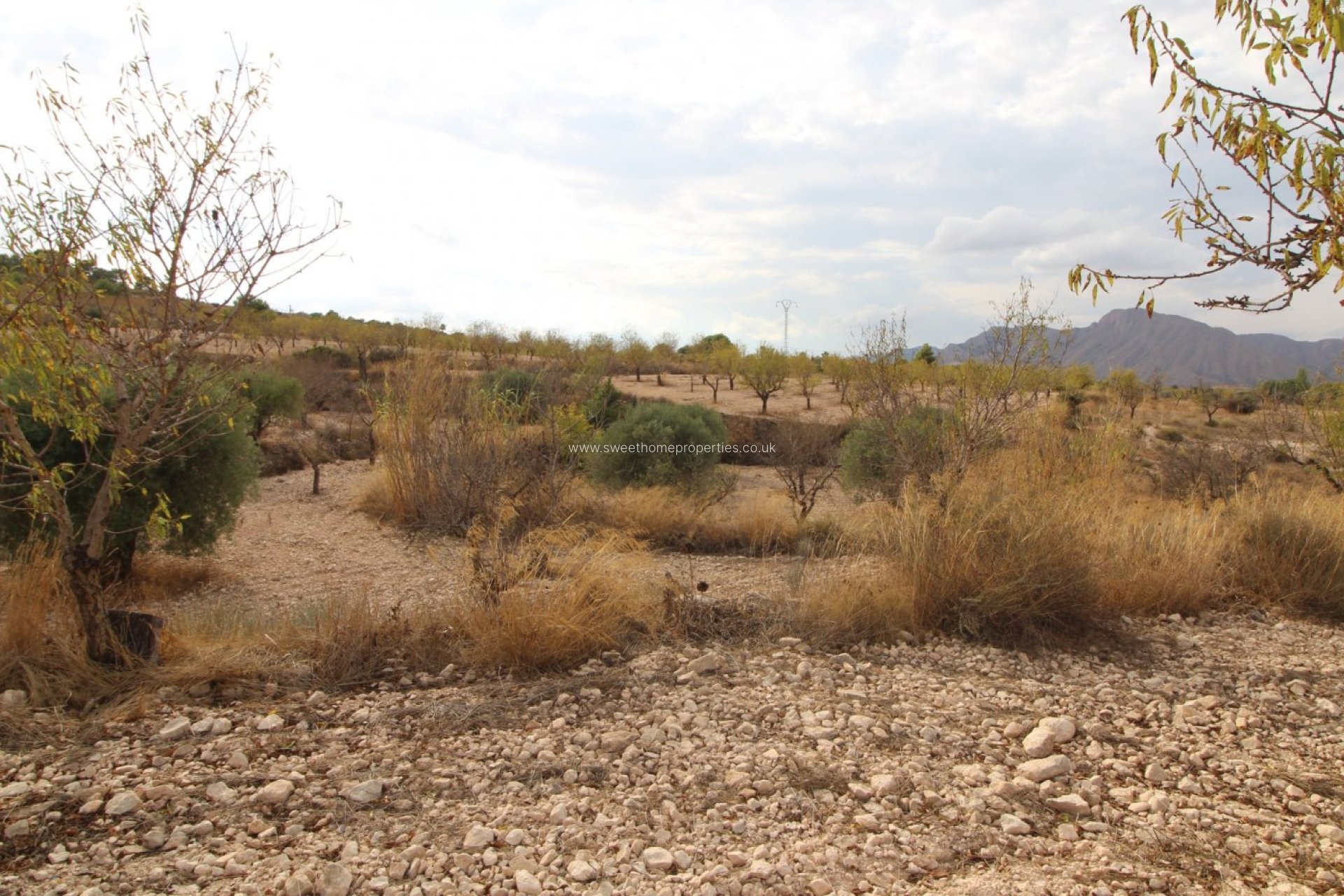 Reventa - Plot - Hondon De Los Frailes