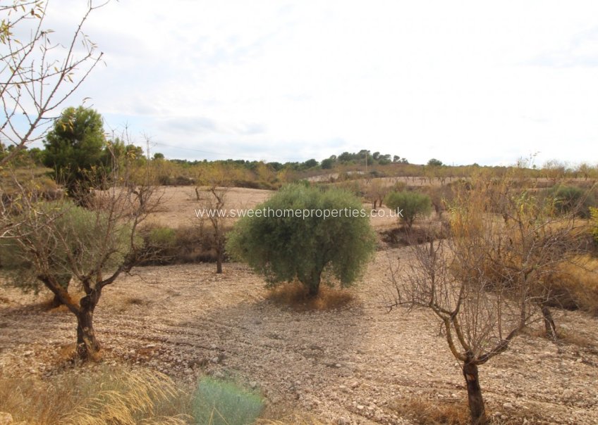 Reventa - Plot - Hondon De Los Frailes