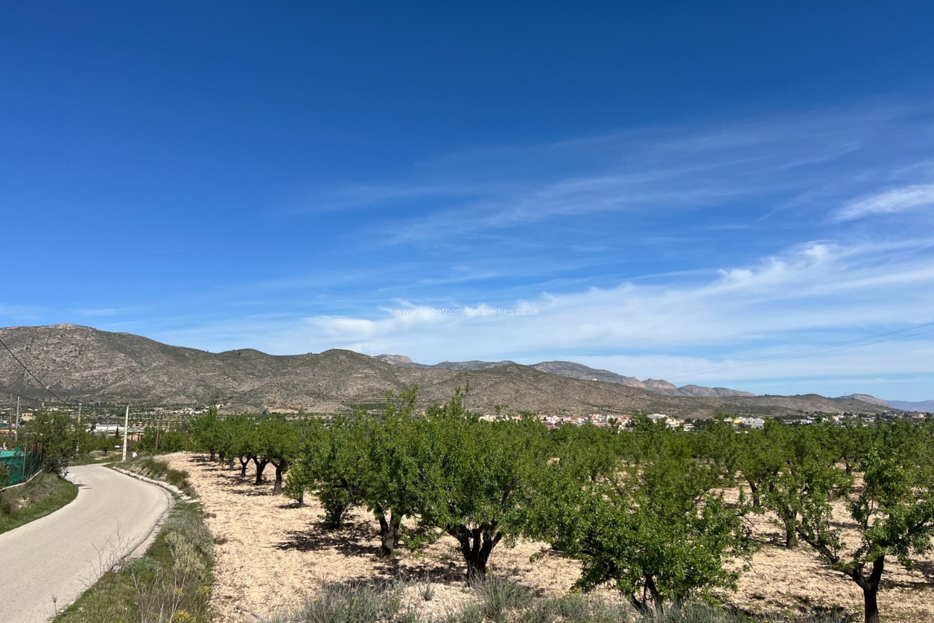 Reventa - Plot - Hondon De Los Frailes