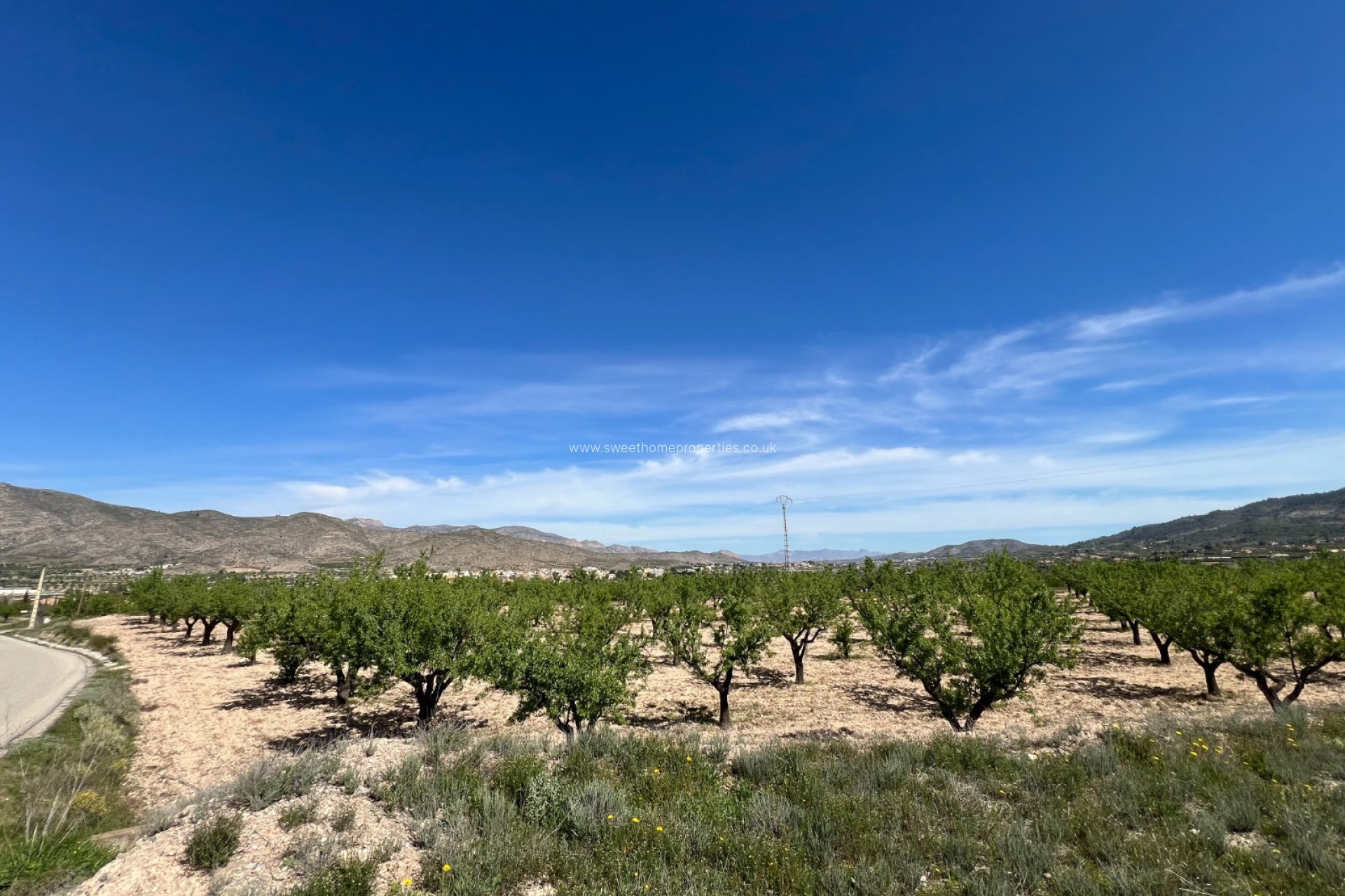 Reventa - Plot - Hondon De Los Frailes