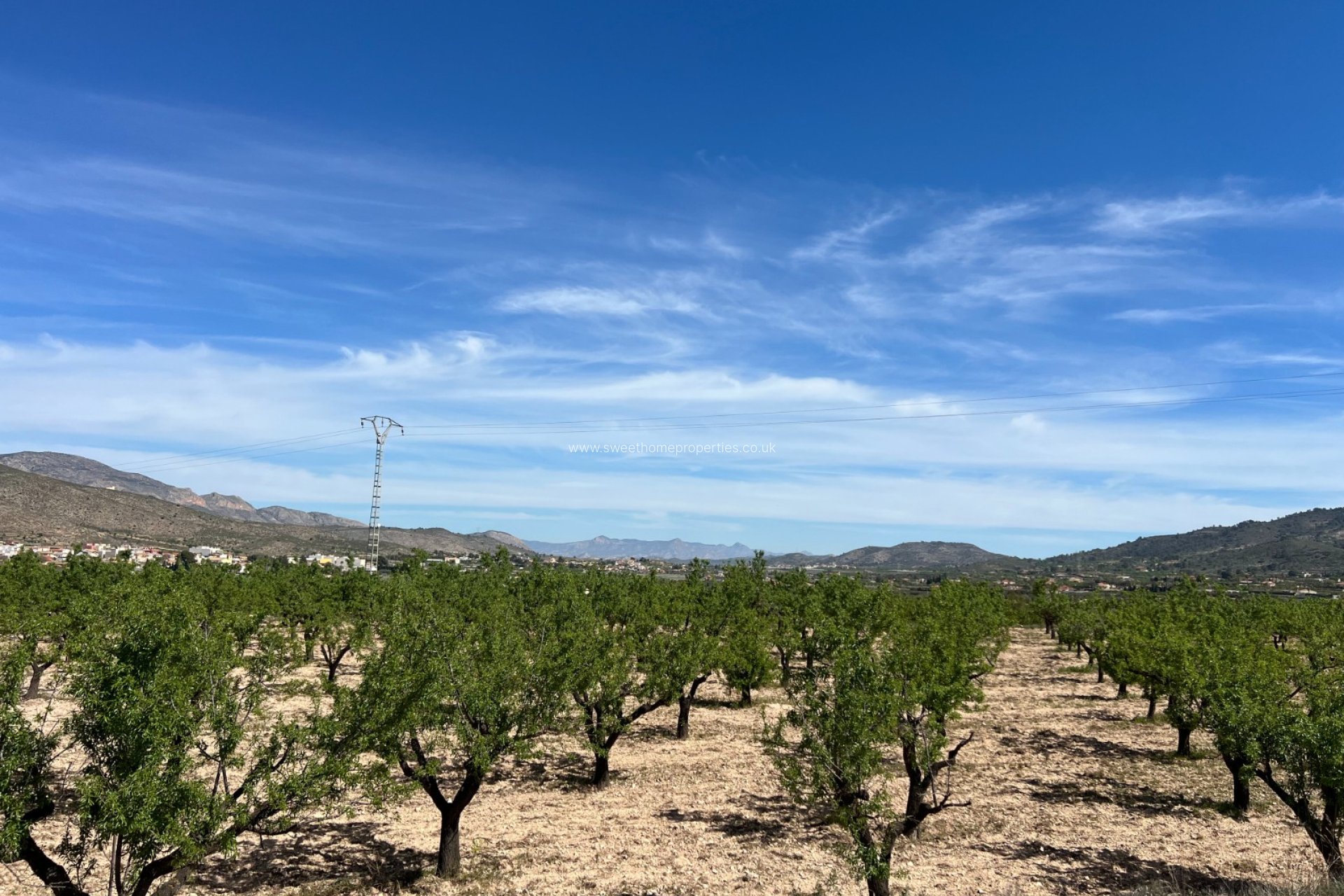 Reventa - Plot - Hondon De Los Frailes