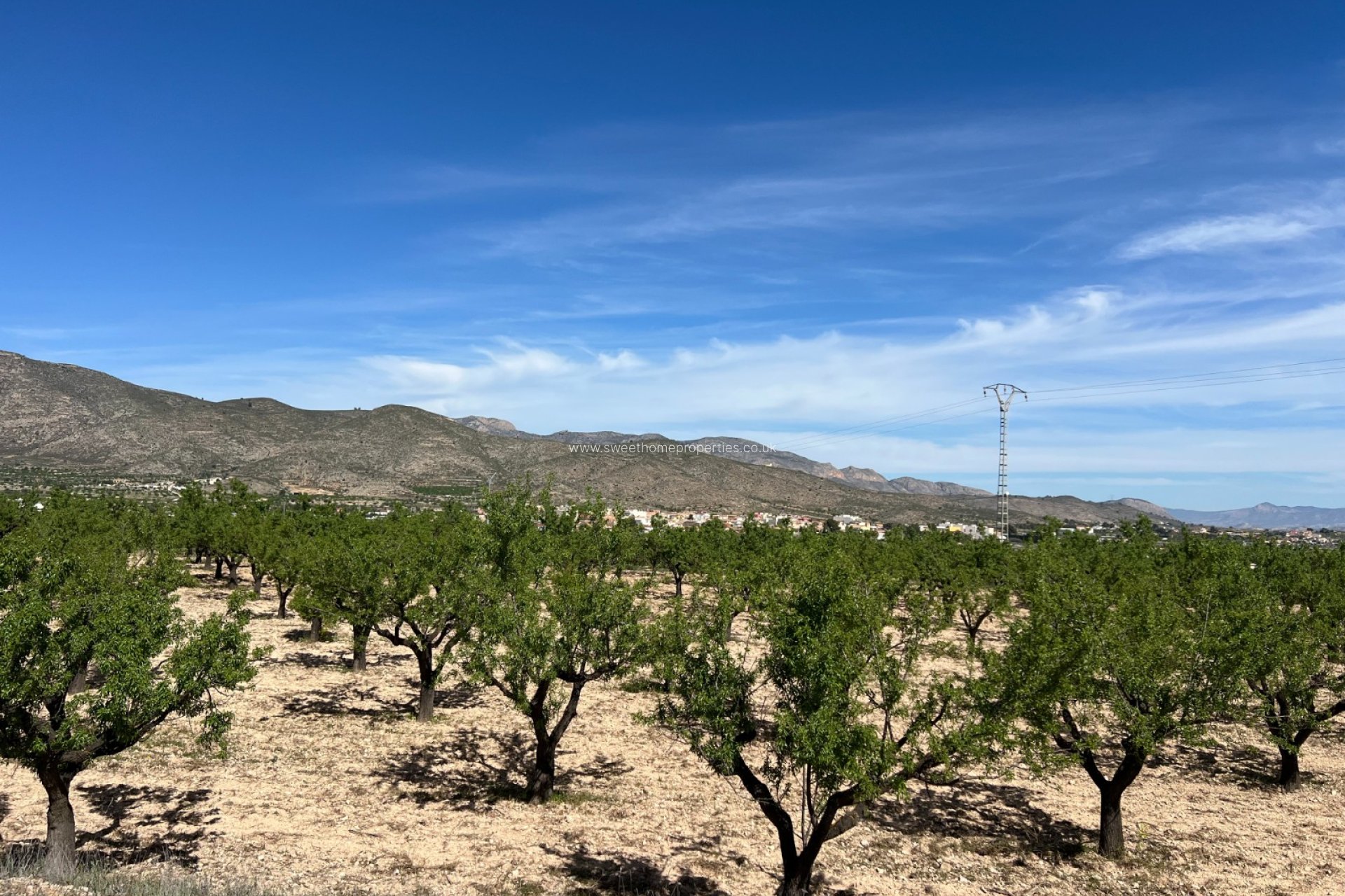 Reventa - Plot - Hondon De Los Frailes