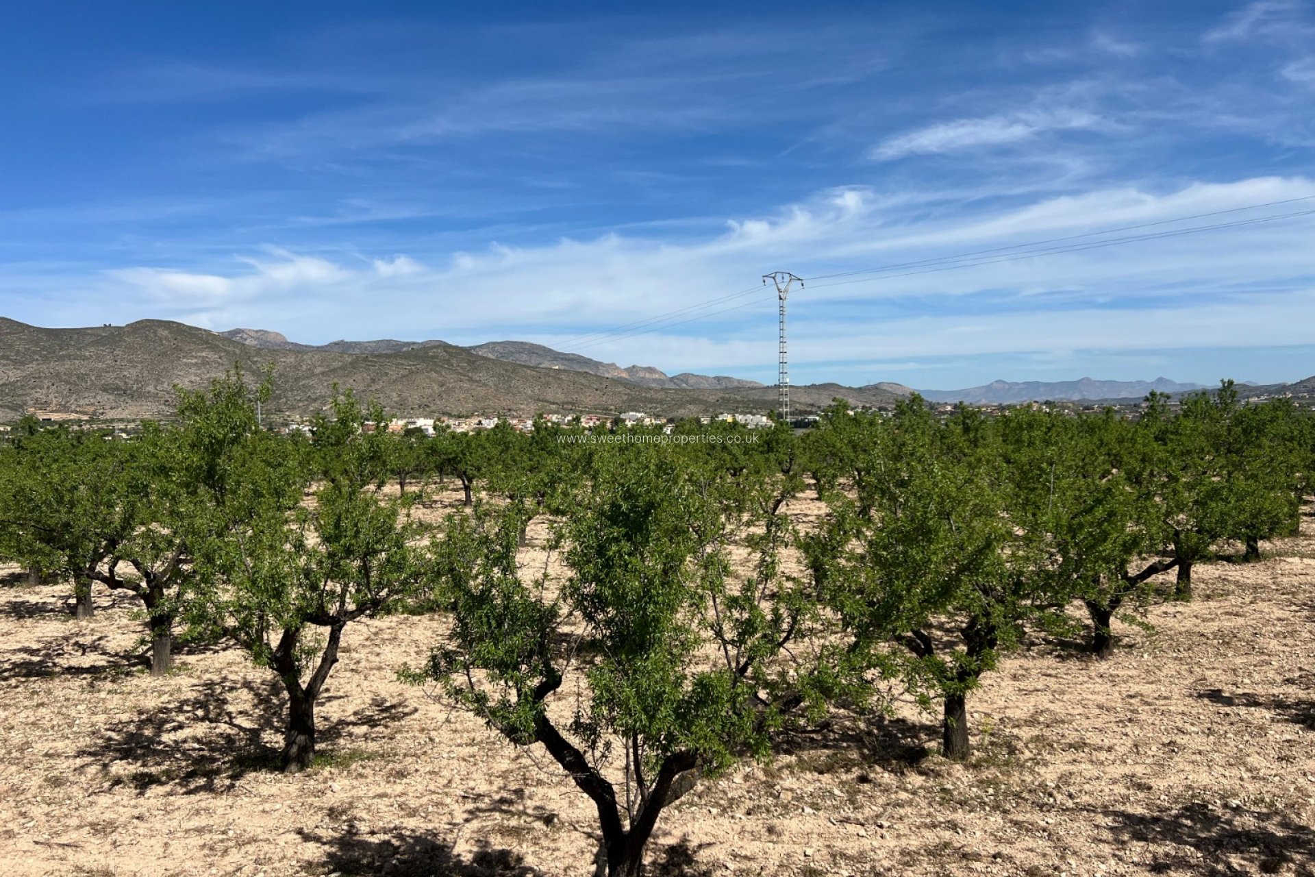 Reventa - Plot - Hondon De Los Frailes