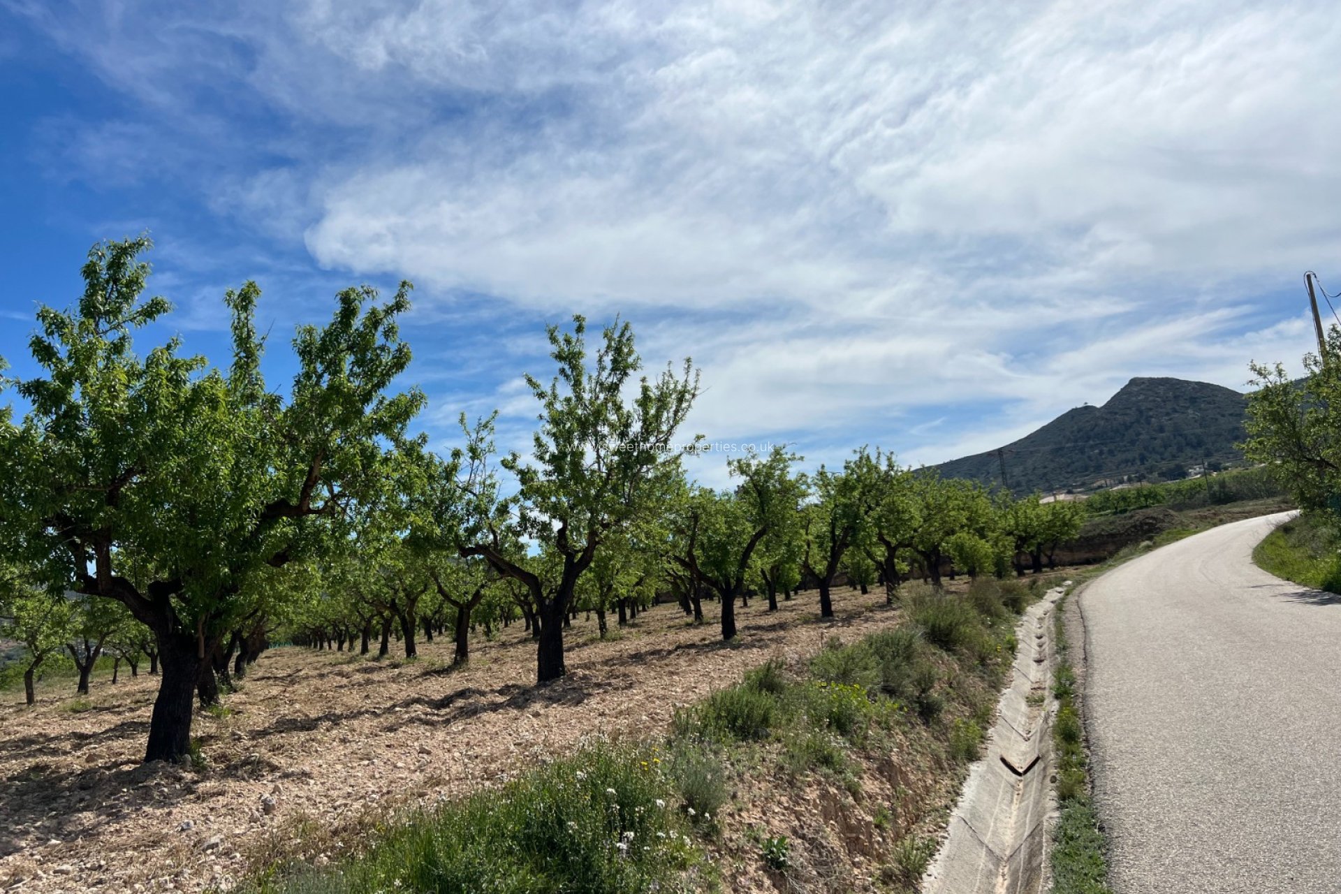 Reventa - Plot - Hondon De Los Frailes