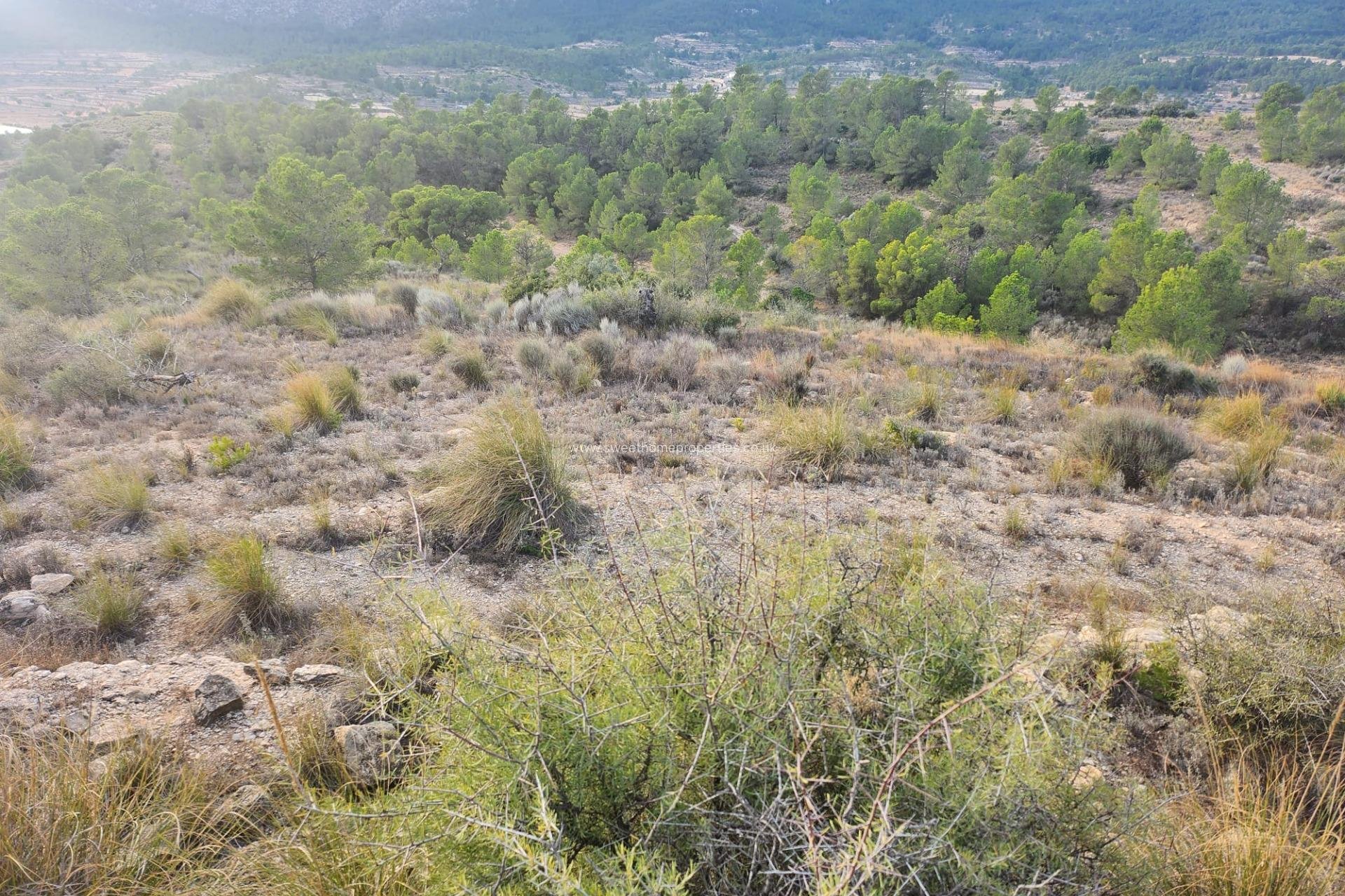 Reventa - Plot - La Romana - A diez minutos