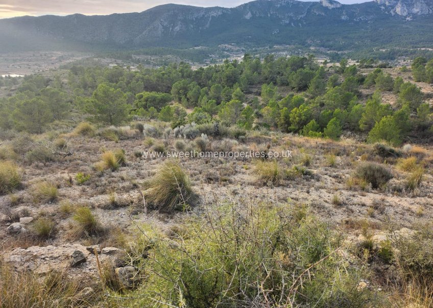 Reventa - Plot - La Romana - A diez minutos