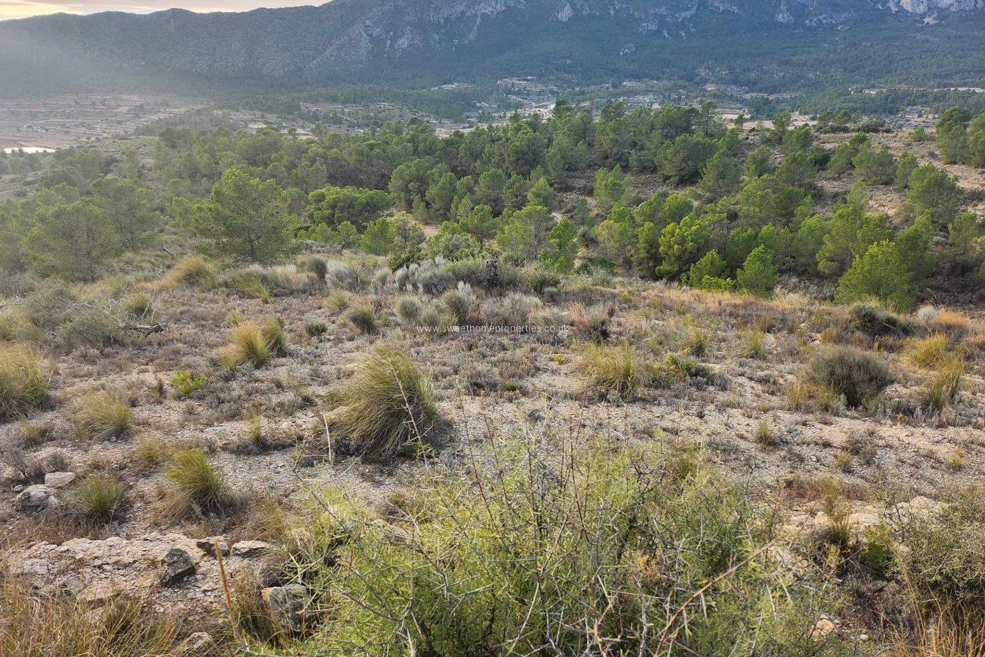 Reventa - Plot - La Romana - A diez minutos