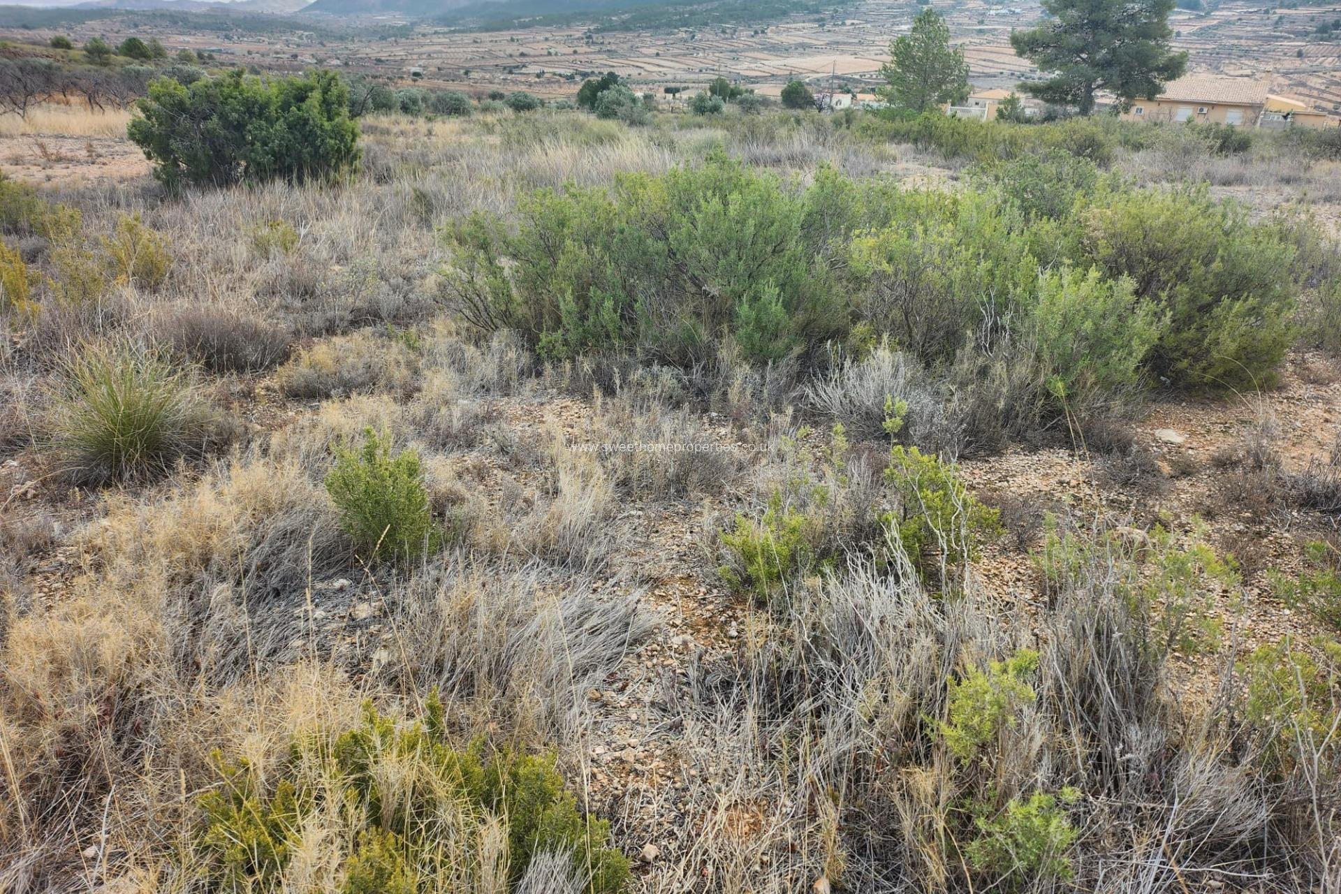 Reventa - Plot - La Romana - A diez minutos