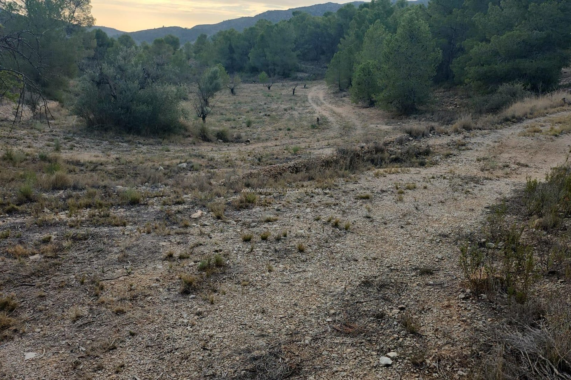 Reventa - Plot - La Romana - A diez minutos