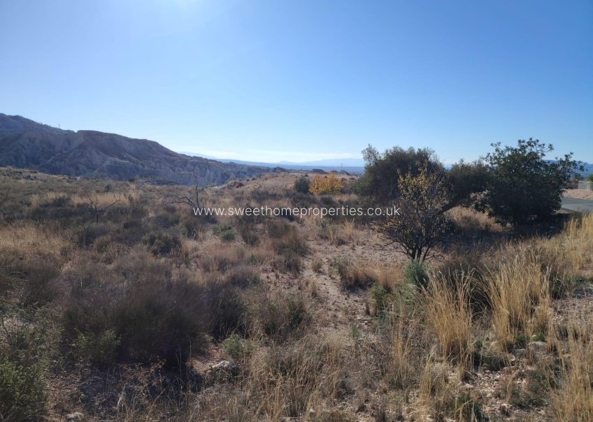 Reventa - Plot - La Romana - campo