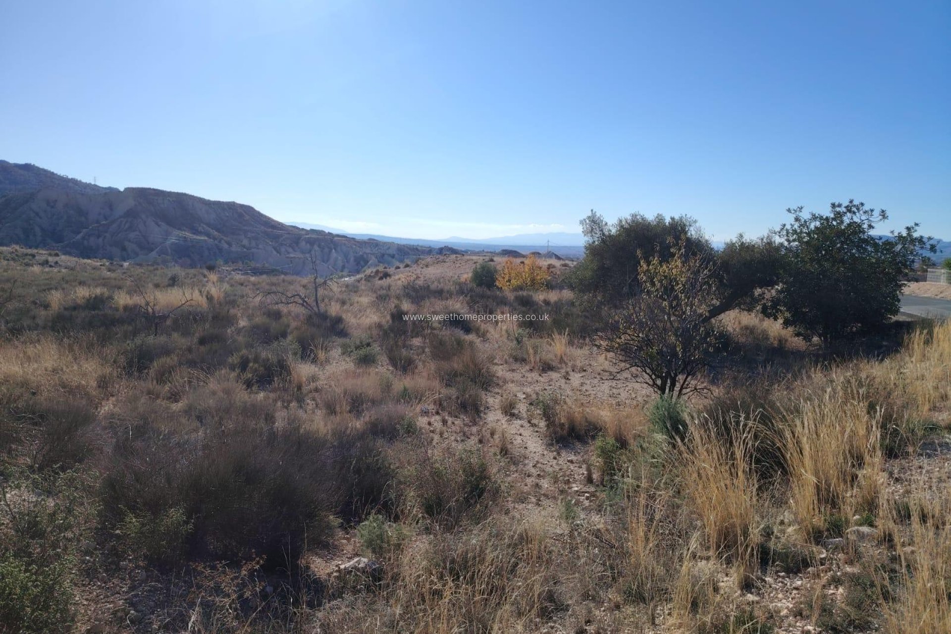 Reventa - Plot - La Romana - campo