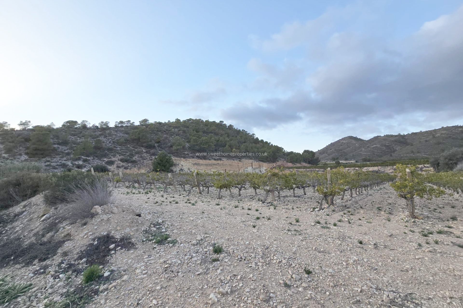 Reventa - Plot - La Romana - Comunidad valenciana