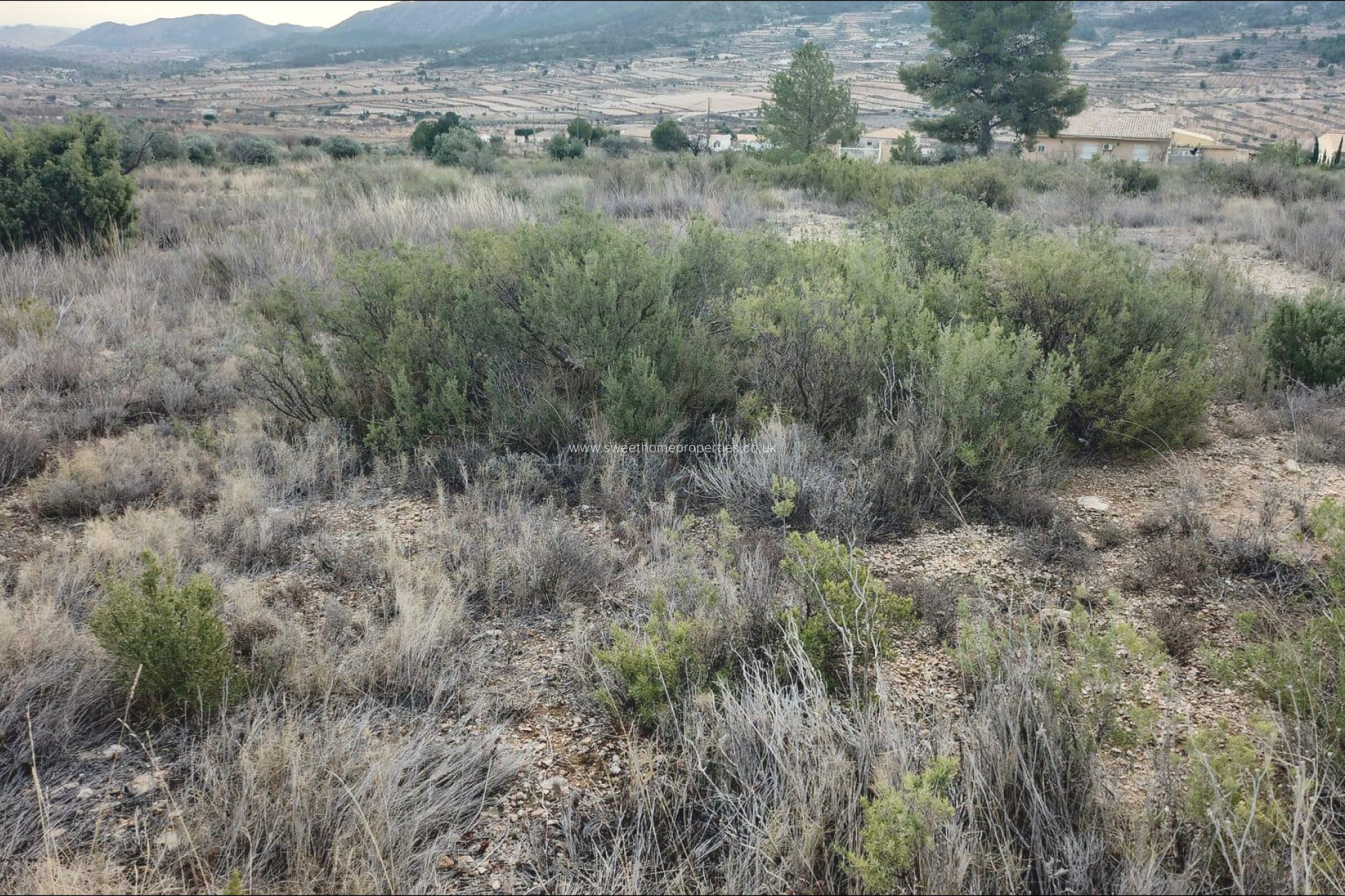 Reventa - Plot - La Romana - EL ALGAYAT