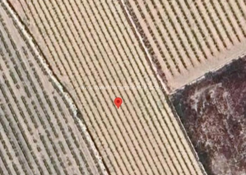 Reventa - Plot - La Romana - Los joveres