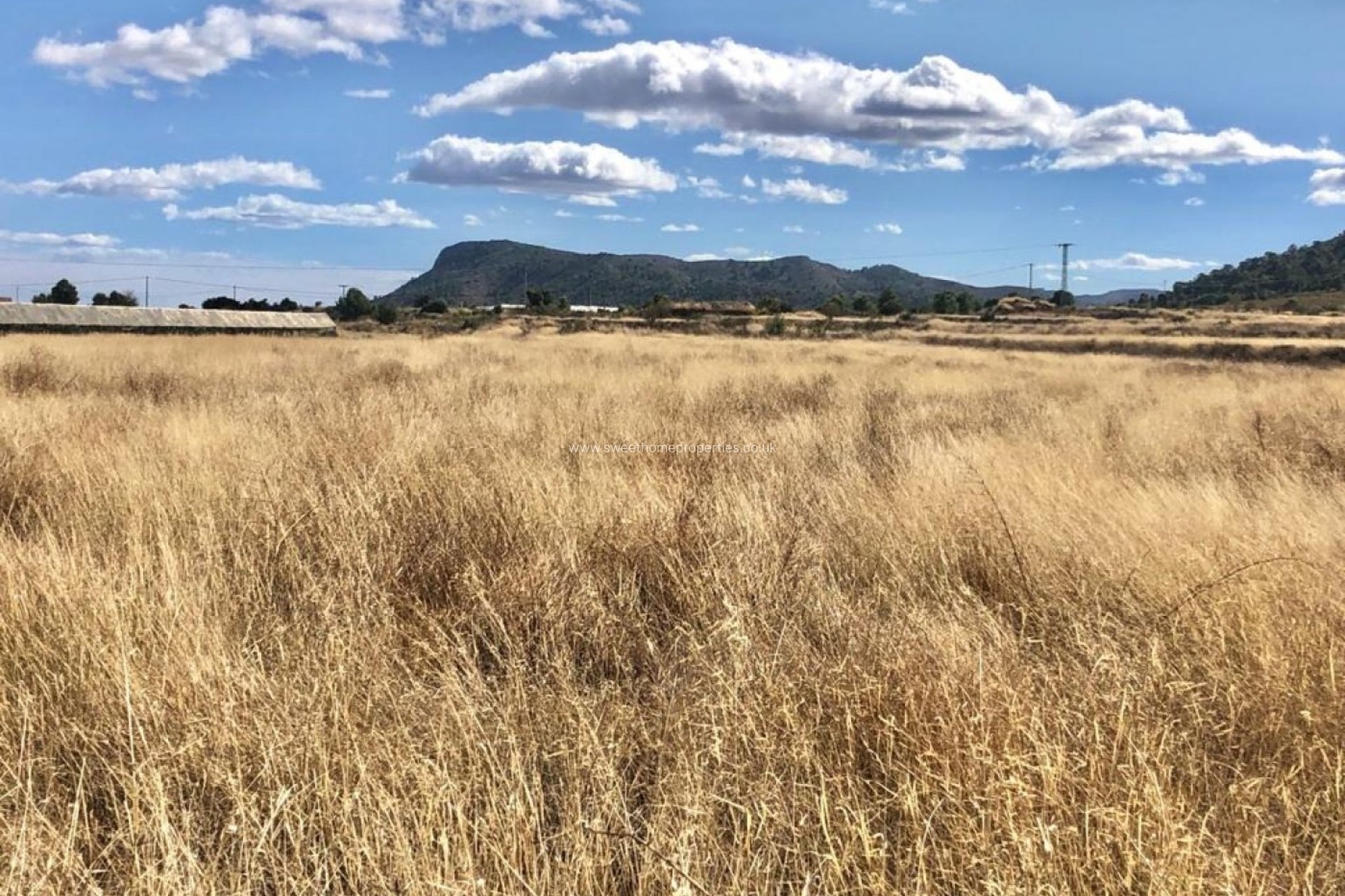 Reventa - Plot - La Romana - LOS PALAOS
