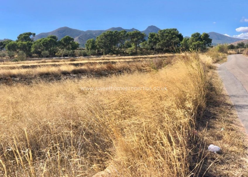 Reventa - Plot - La Romana - LOS PALAOS