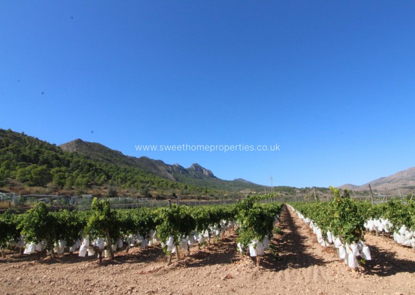 Reventa - Plot - La Romana - PARTIDA DE LA BOQUERA