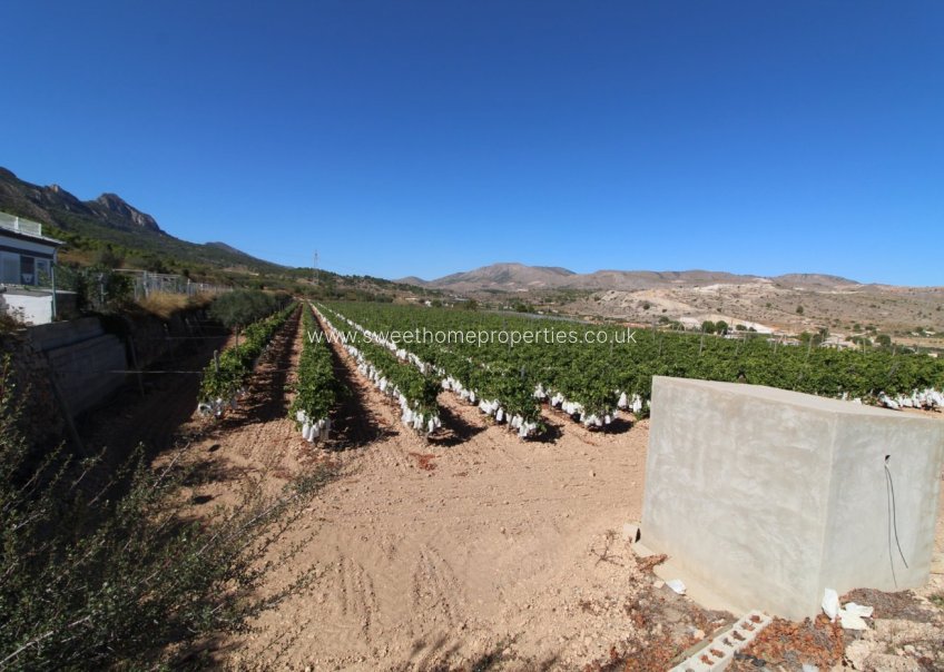 Reventa - Plot - La Romana - PARTIDA DE LA BOQUERA