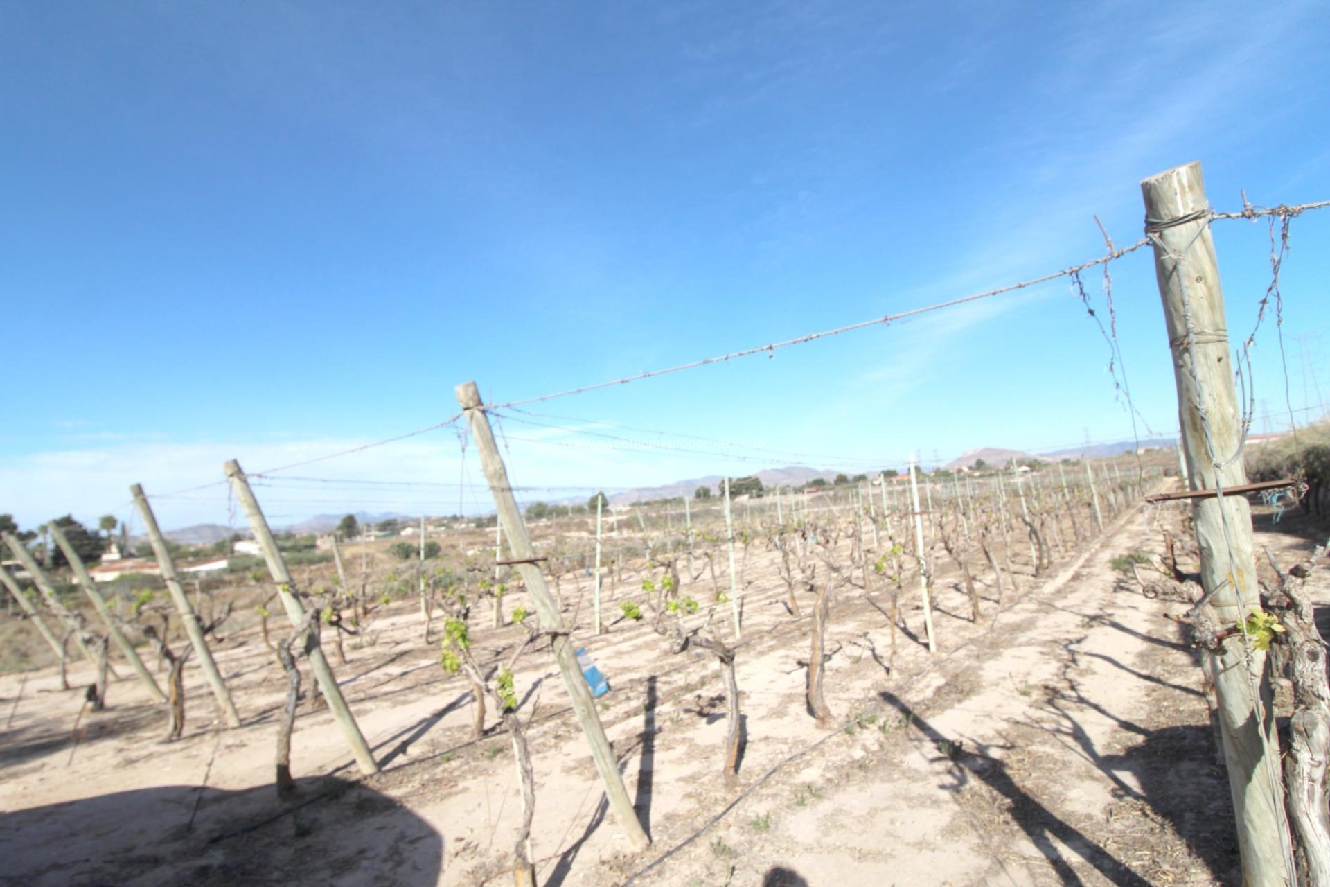 Reventa - Plot - Monforte del Cid - El secano