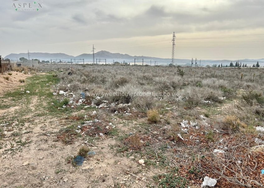 Reventa - Plot - Monforte del Cid - GABARRERA