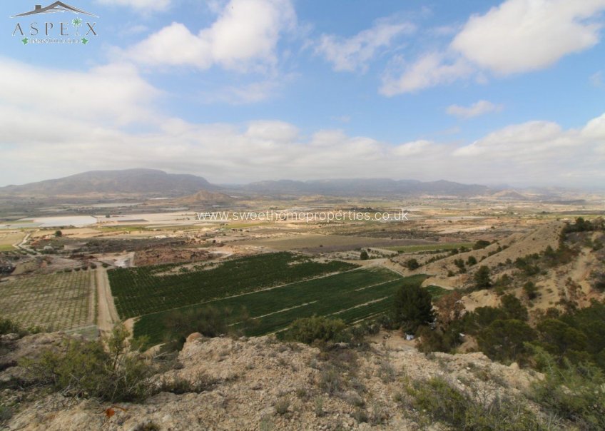 Reventa - Plot - Monforte del Cid - Orito