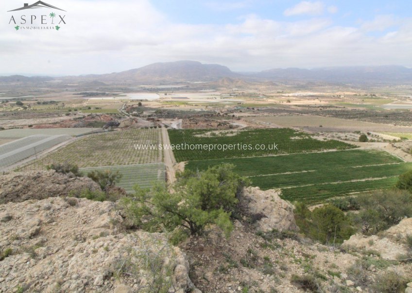 Reventa - Plot - Monforte del Cid - Orito