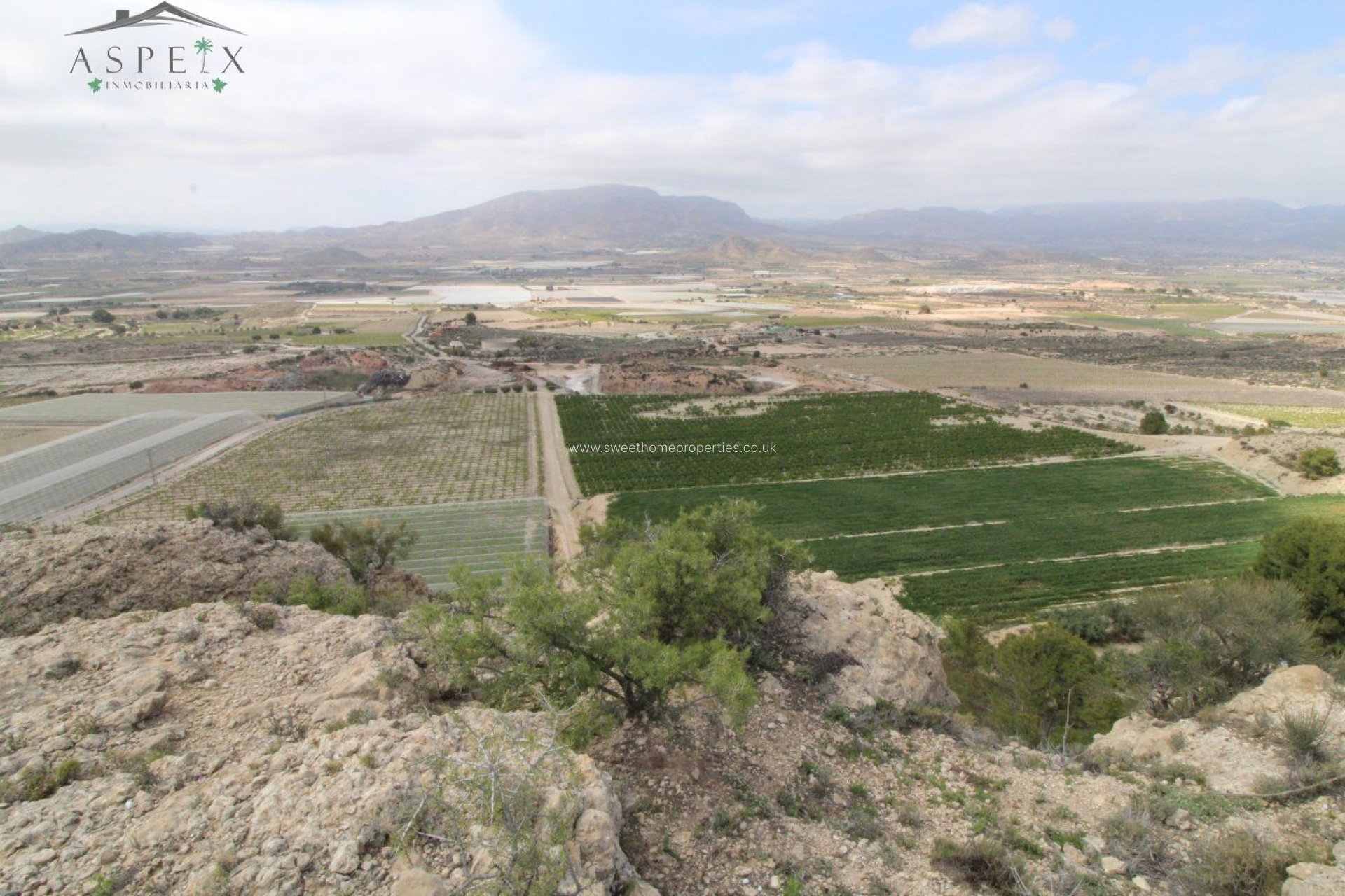 Reventa - Plot - Monforte del Cid - Orito