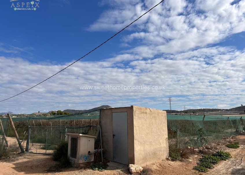 Reventa - Plot - Monforte del Cid