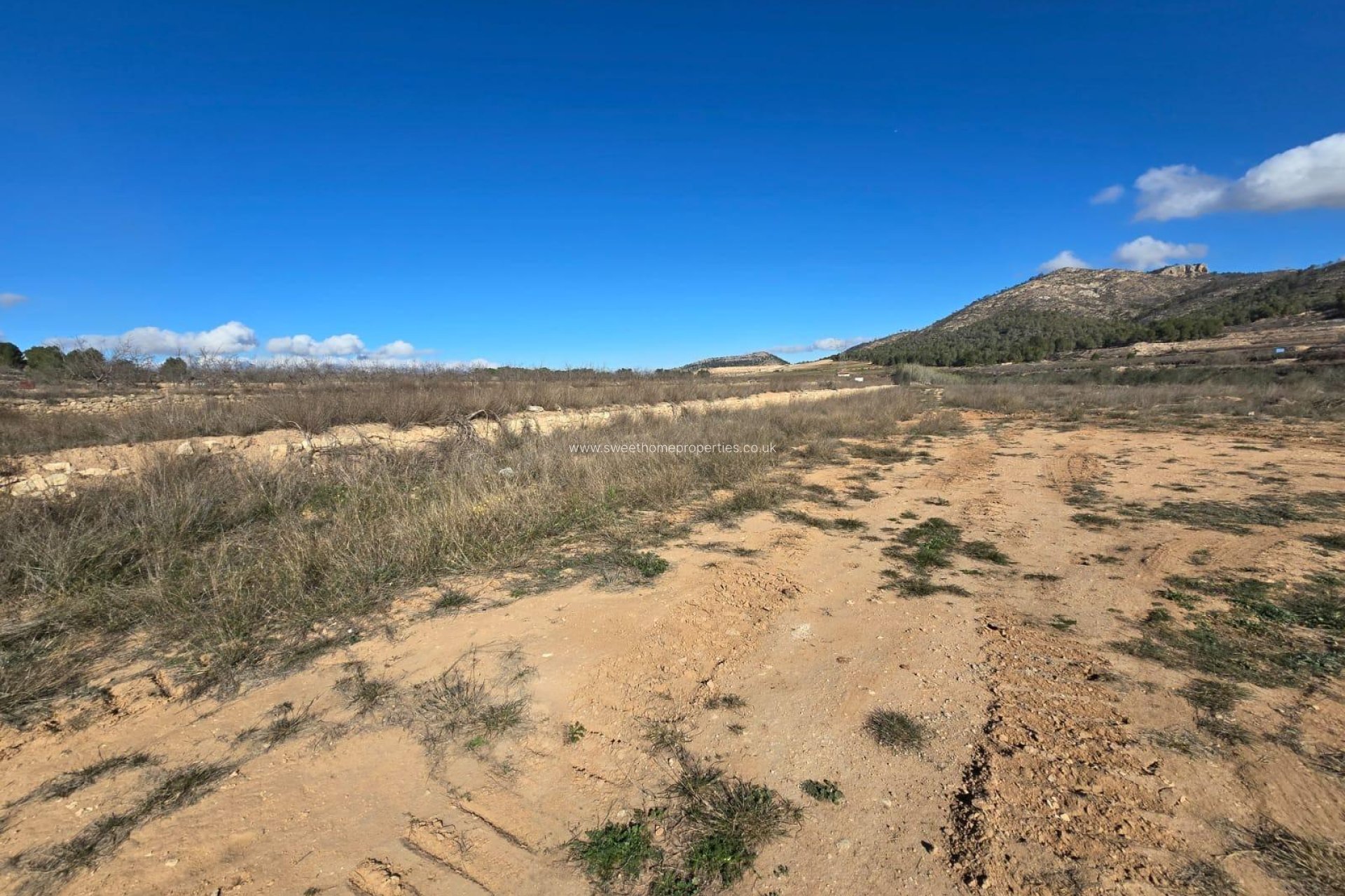 Reventa - Plot - Monovar - La Romana