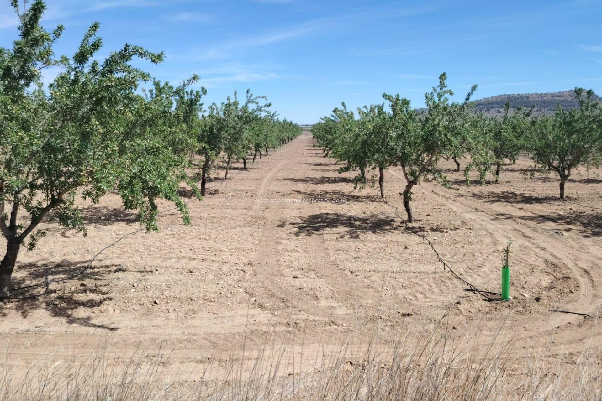 Reventa - Plot - Monovar - MADARA