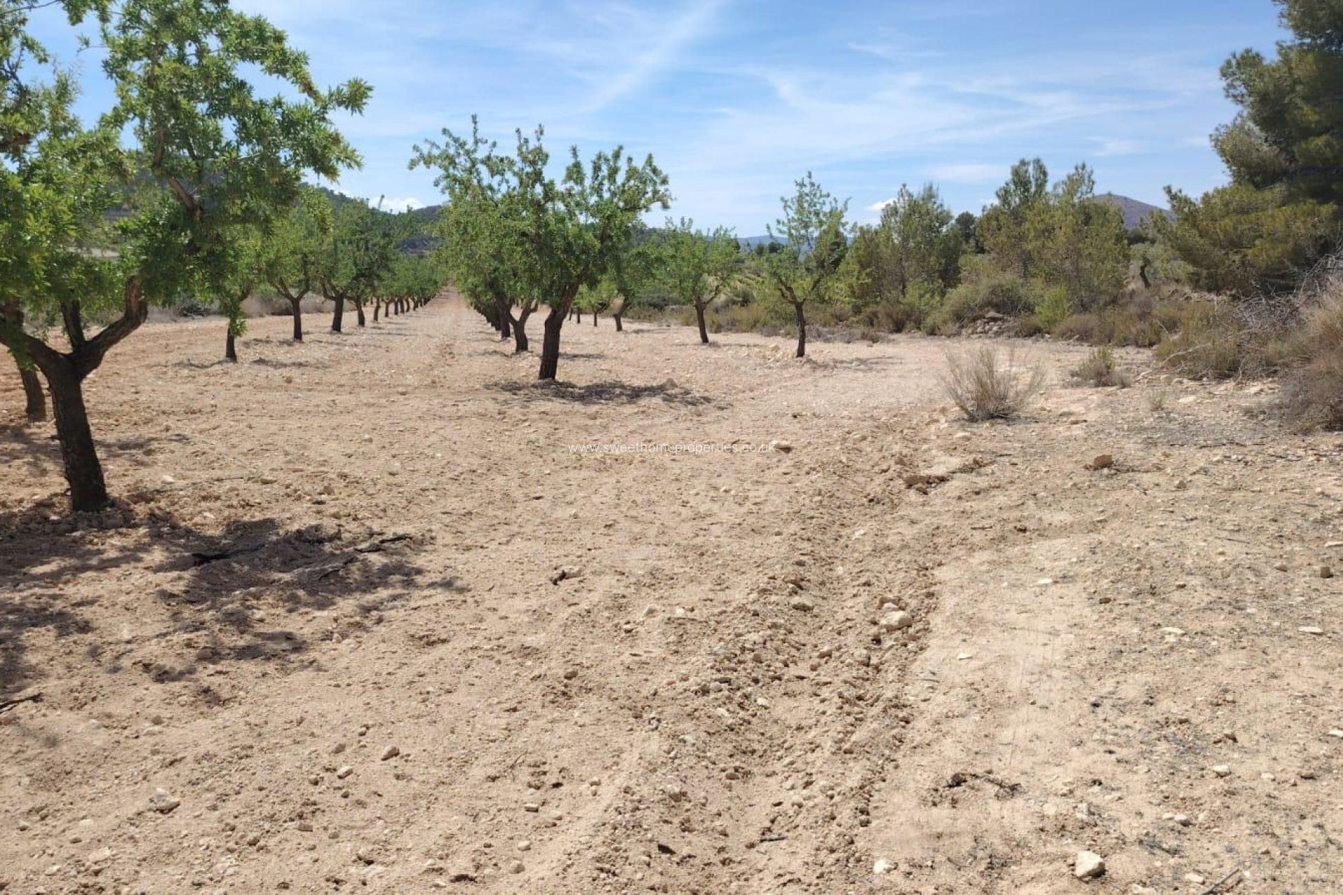 Reventa - Plot - Monovar - MADARA