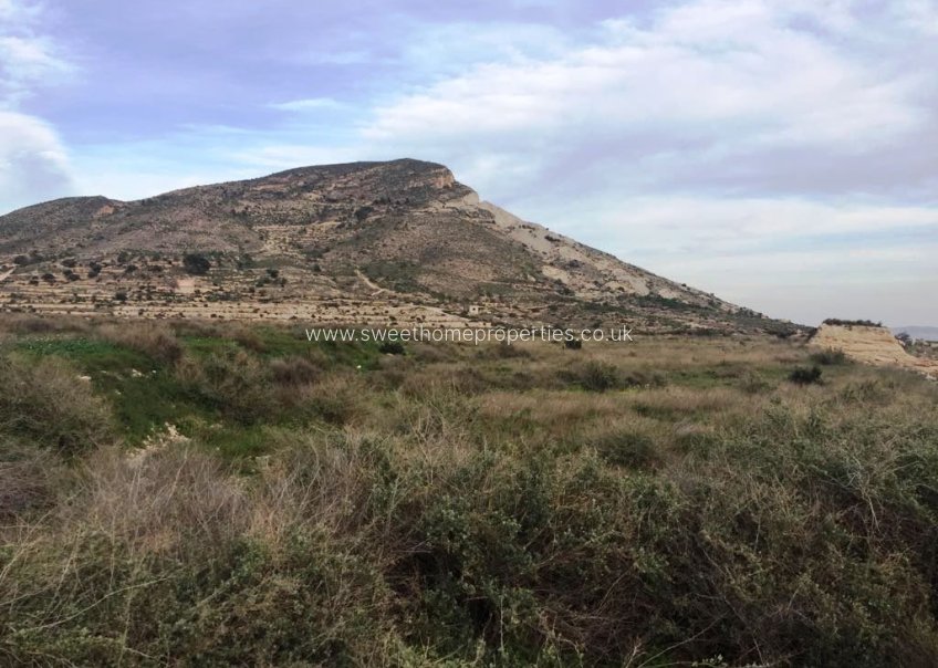 Reventa - Plot - Novelda - BETIES