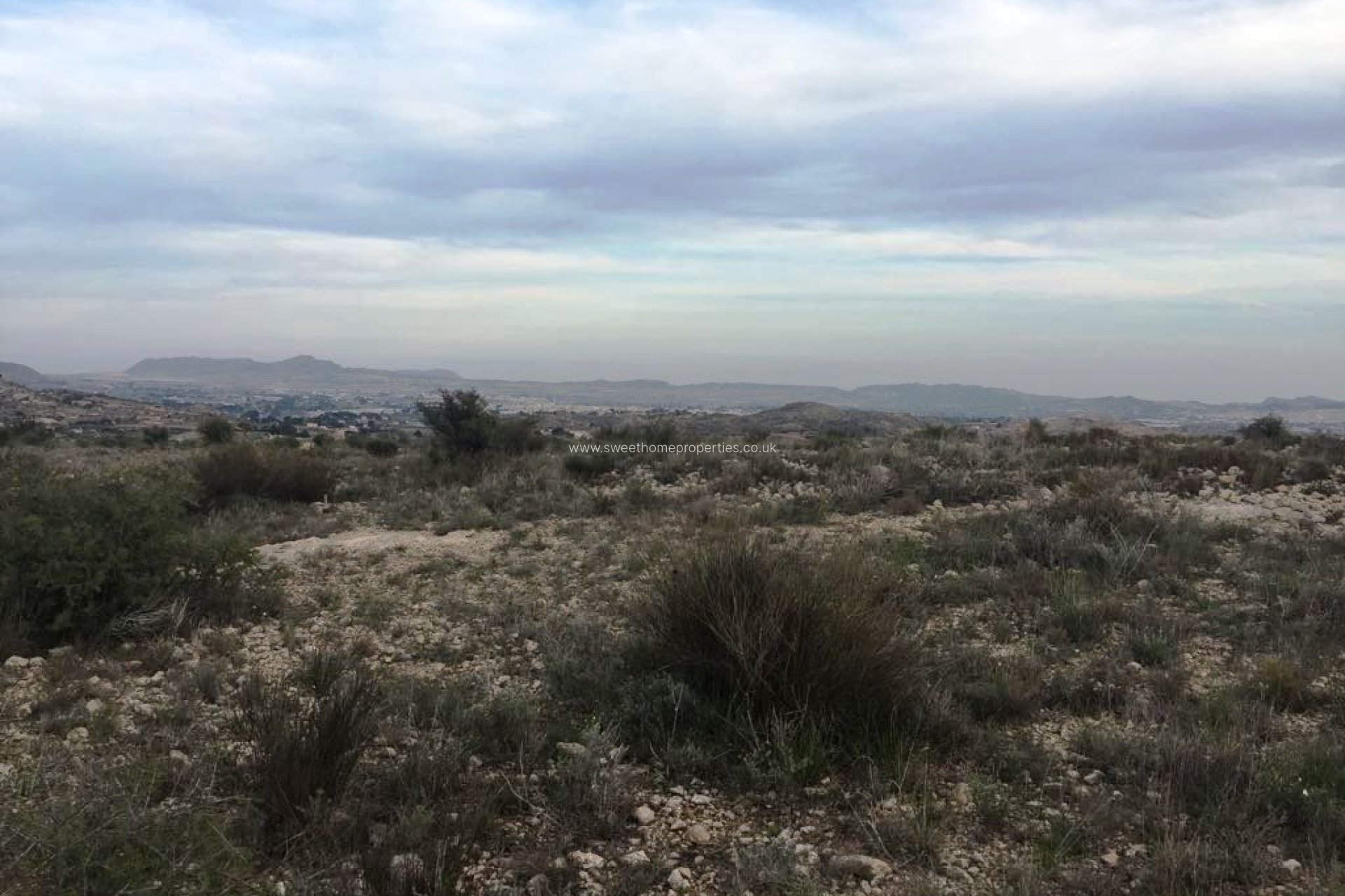 Reventa - Plot - Novelda - BETIES