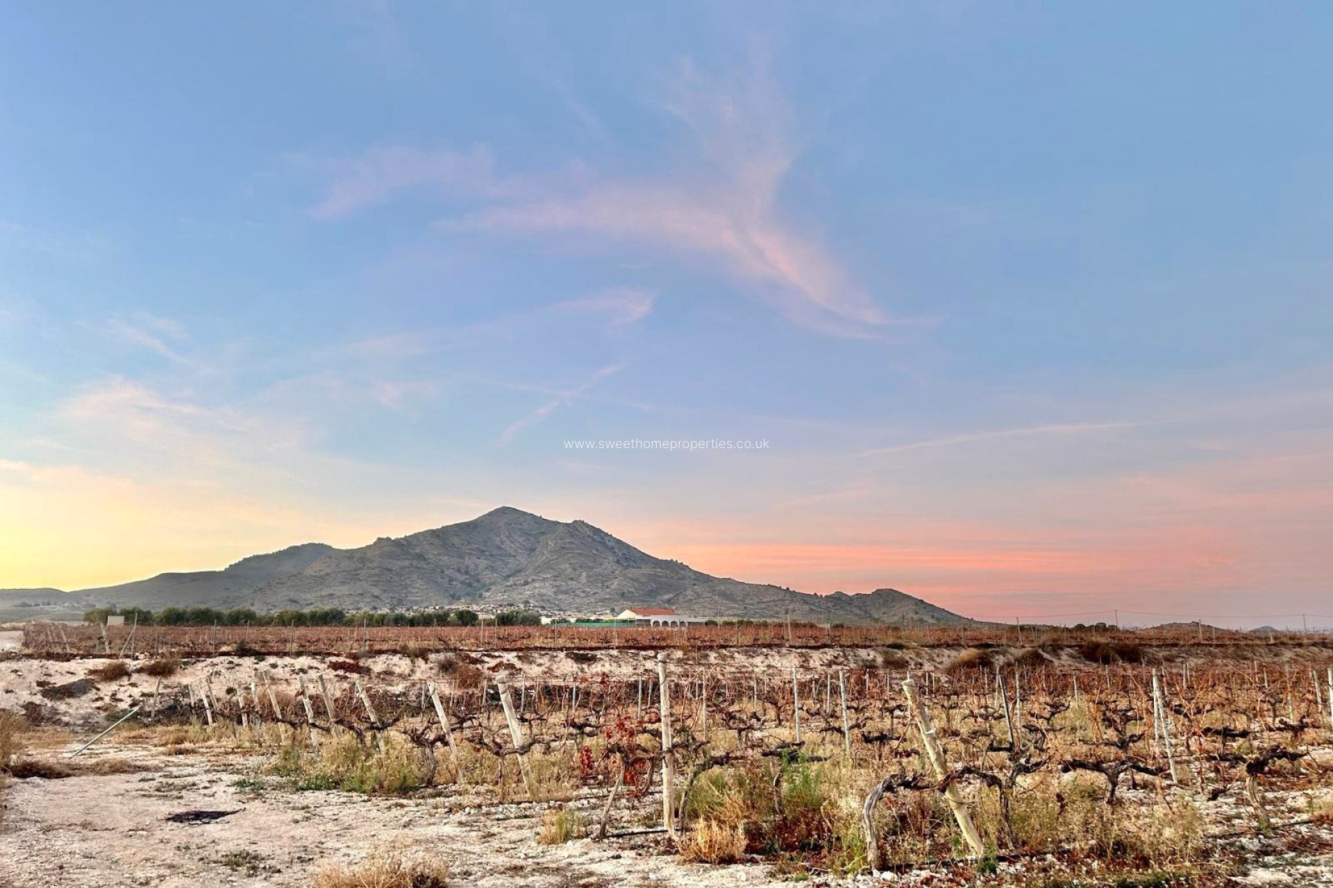 Reventa - Plot - Novelda - BETIES