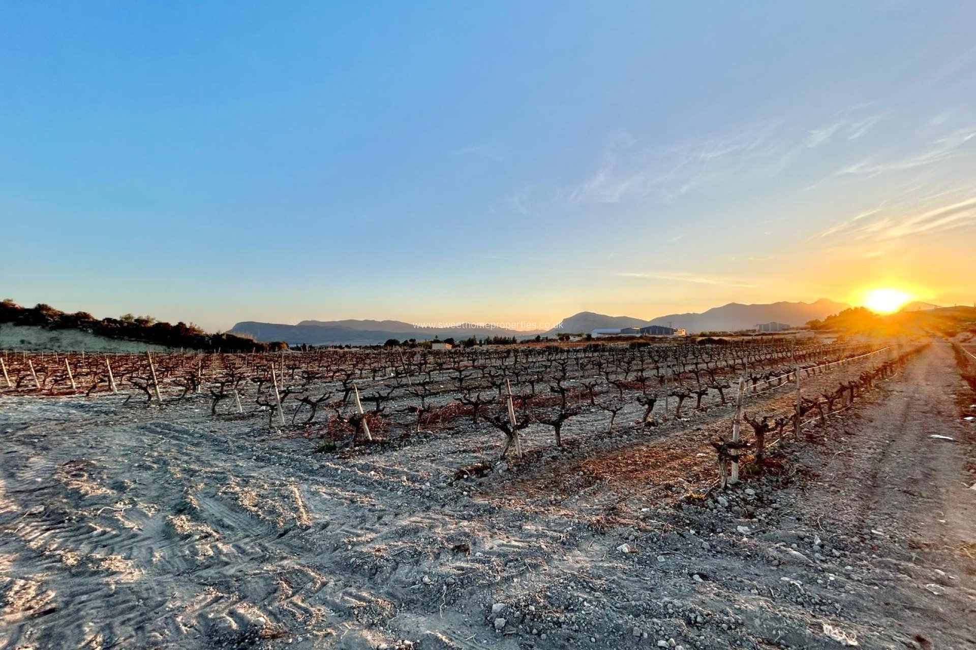 Reventa - Plot - Novelda - BETIES